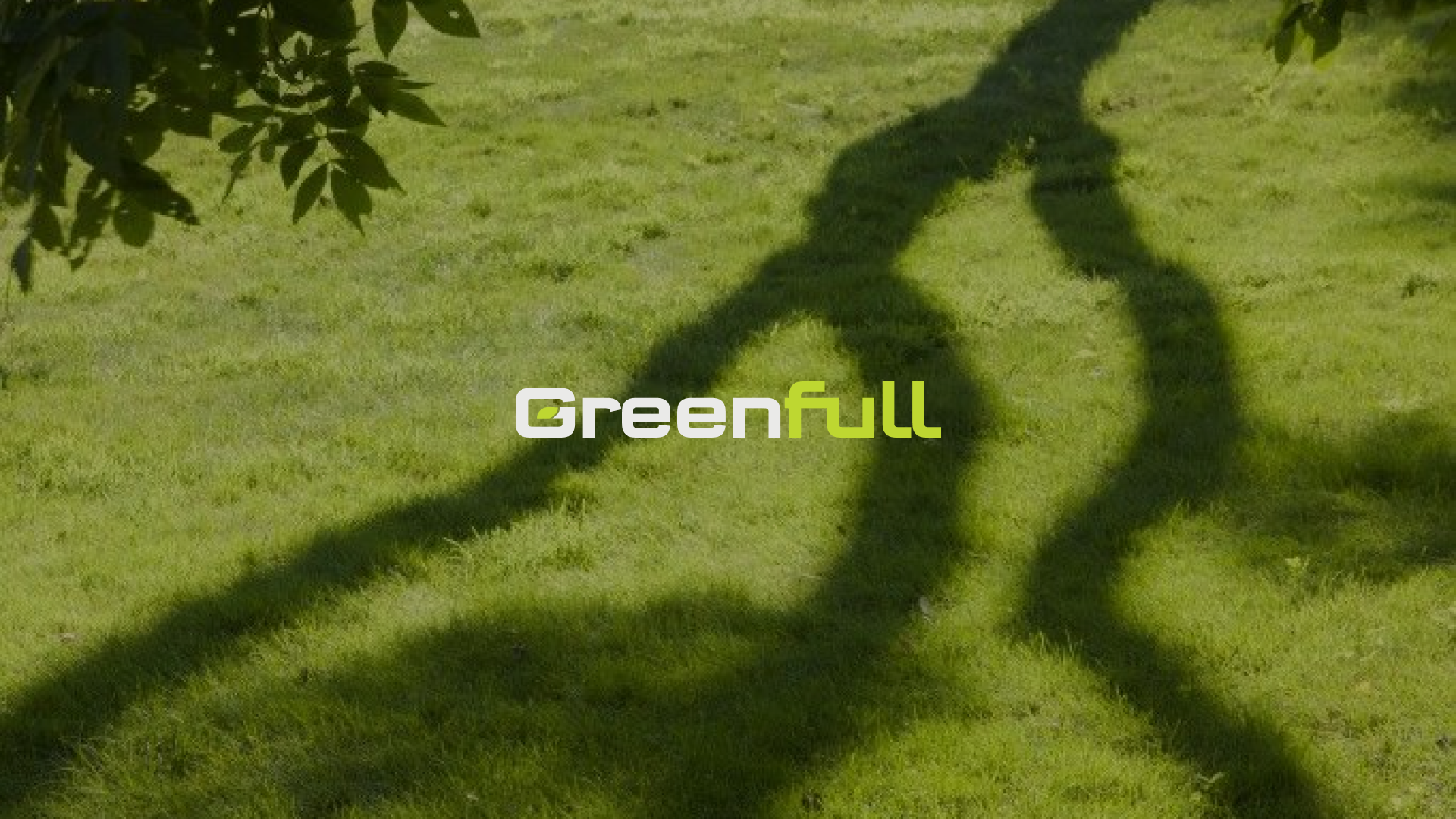 Greenfull — Изображение №1 — Брендинг на Dprofile