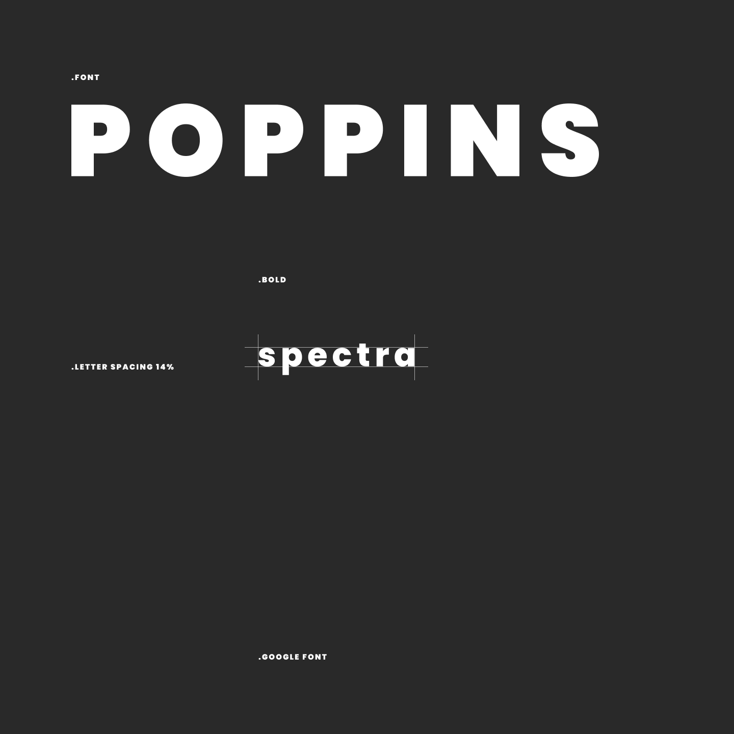 LOGO | SPECTRA — Изображение №4 — Брендинг на Dprofile