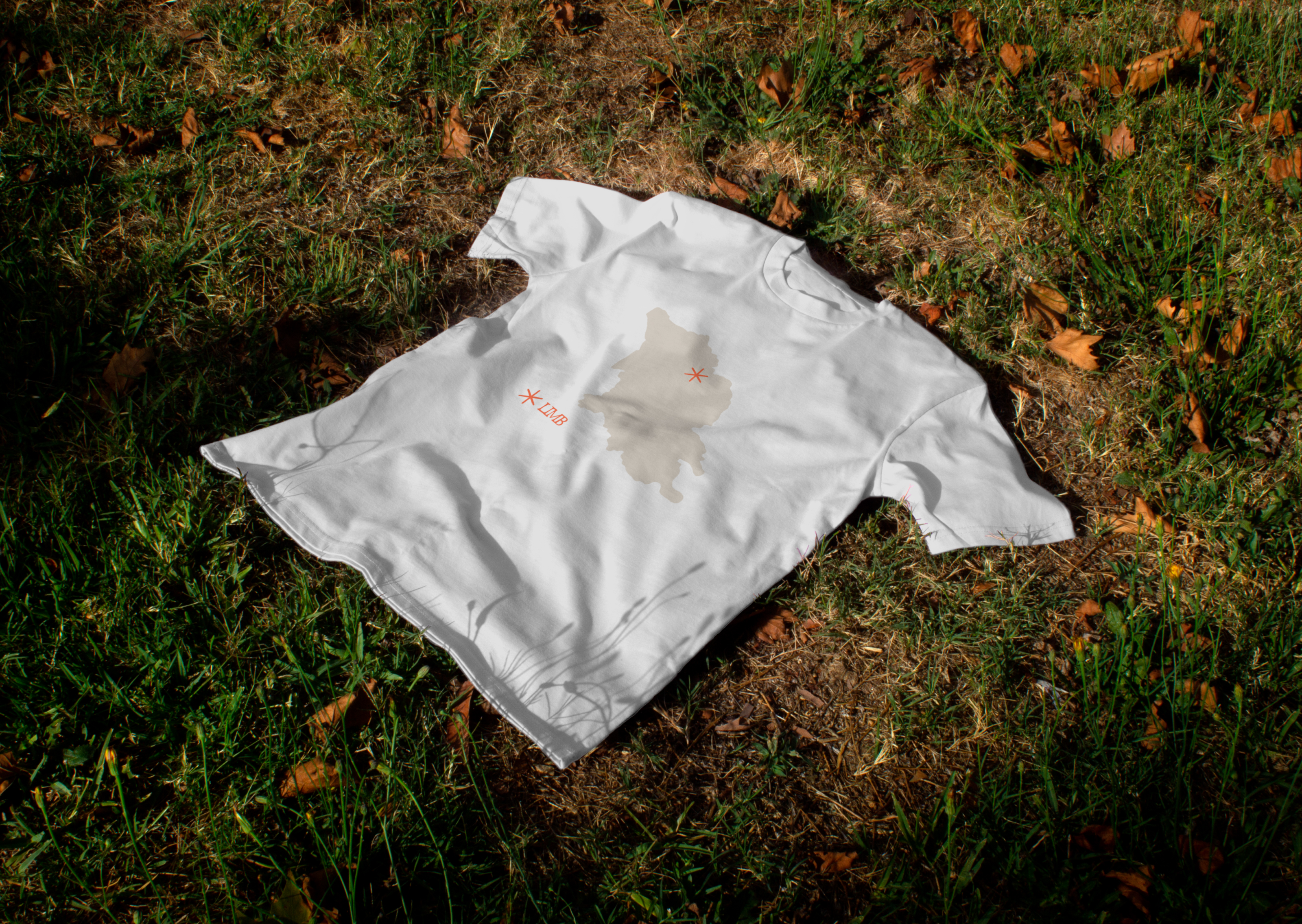 дизайн кофейни "LIMB" — Изображение №20 — Брендинг на Dprofile