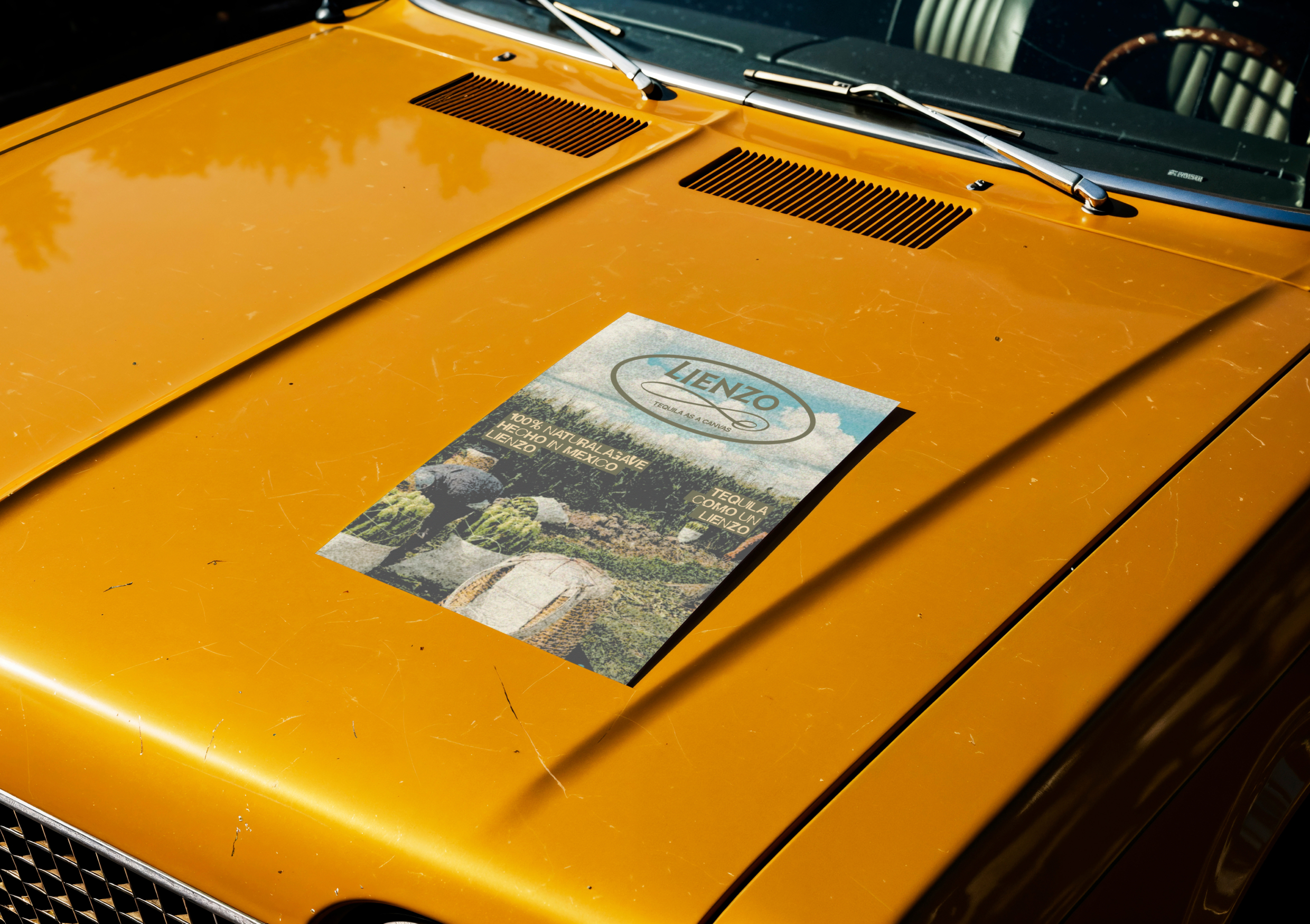 LIENZO — Изображение №7 — Брендинг на Dprofile