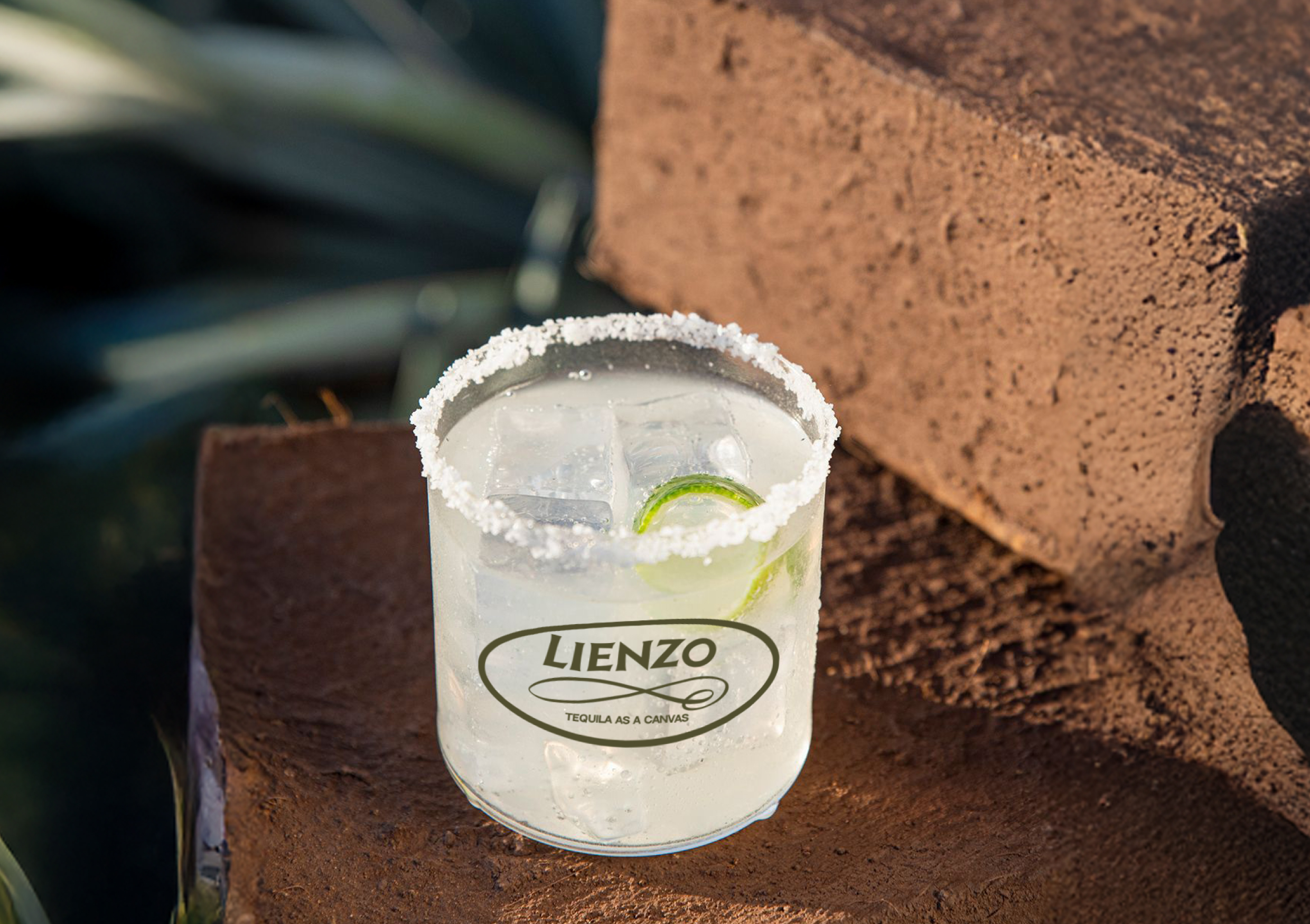 LIENZO — Изображение №4 — Брендинг на Dprofile