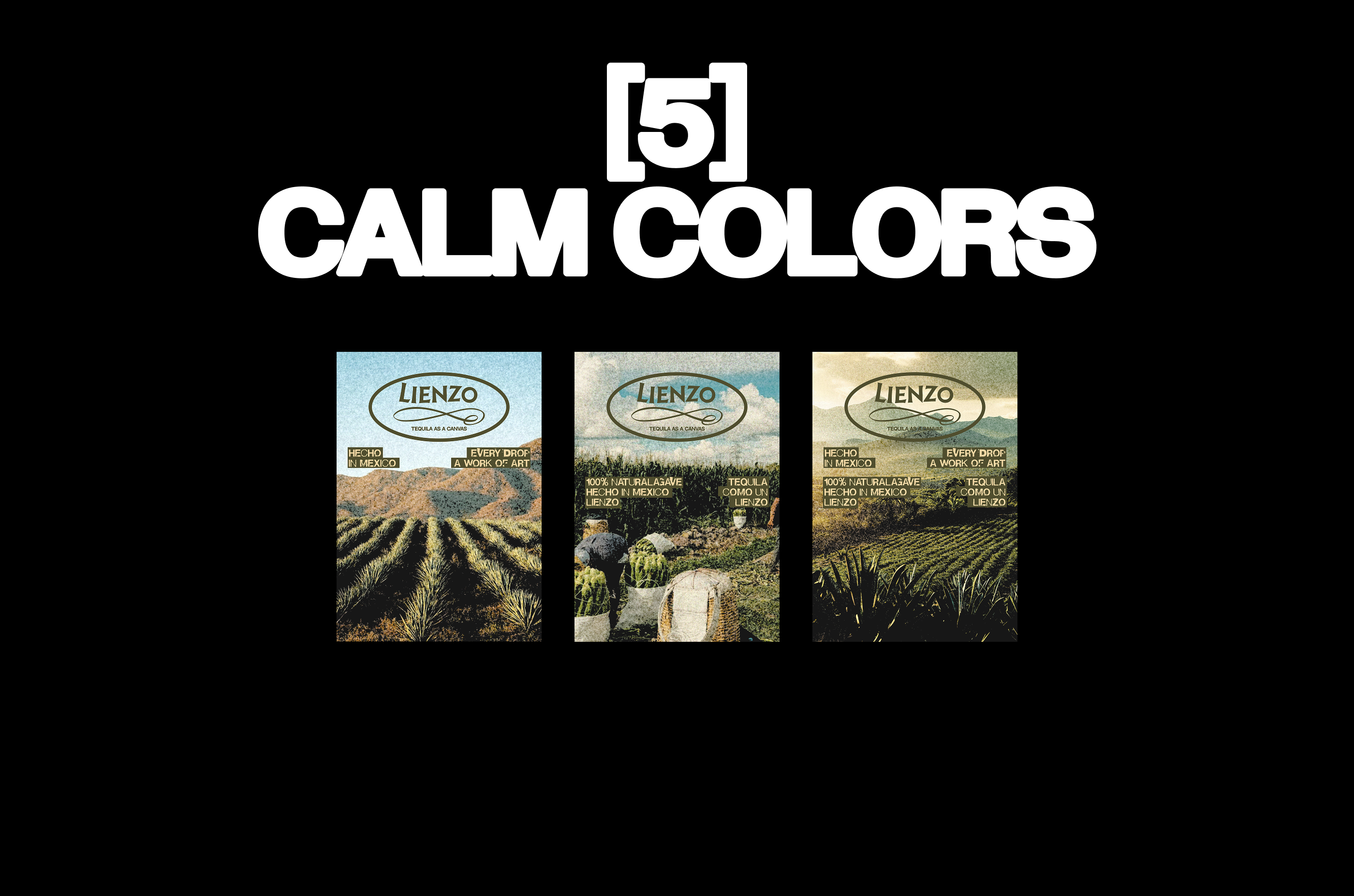 POSTERS PORTFOLIO — Изображение №13 — Графика на Dprofile