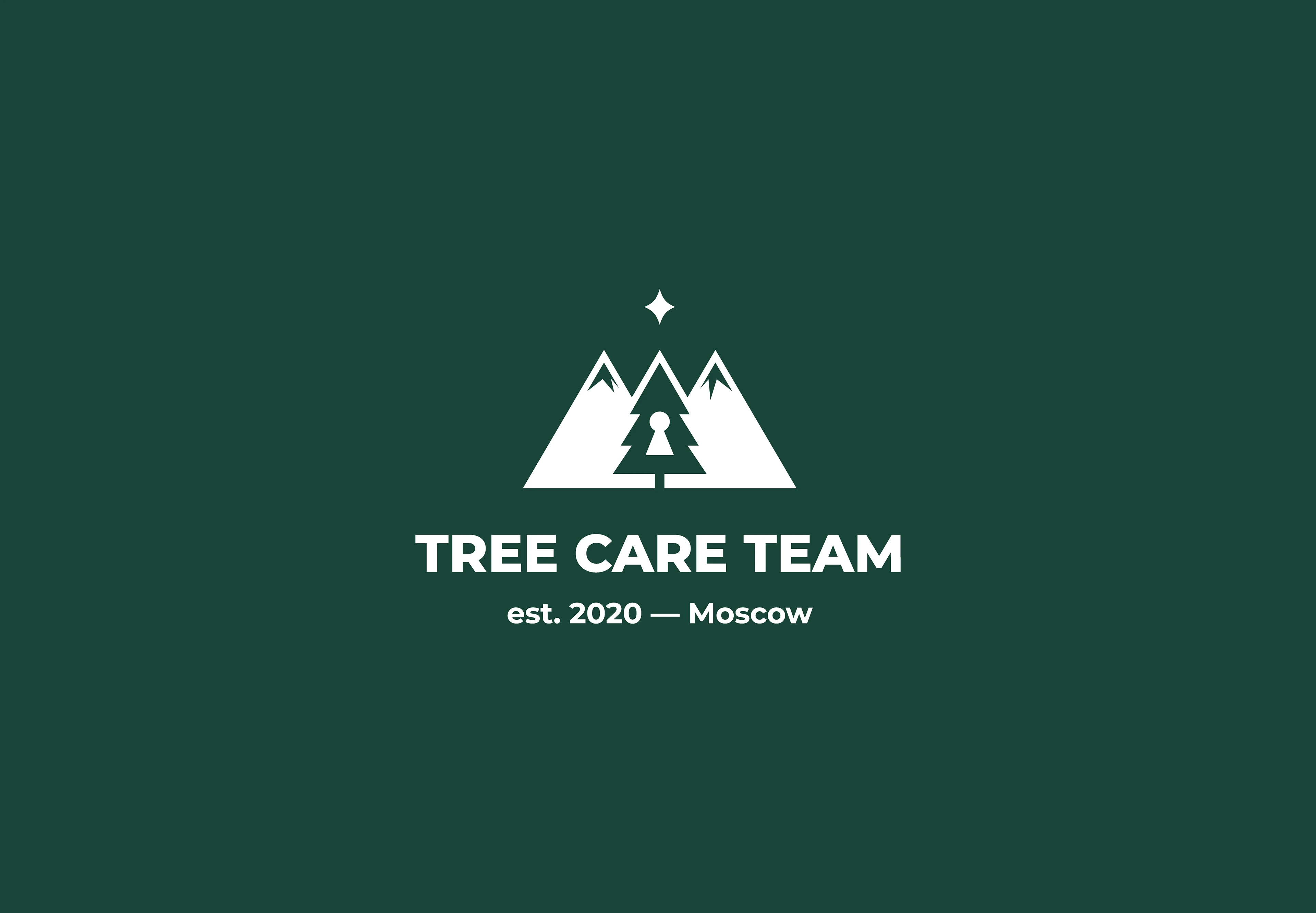 "TREE CARE TEAM" / Промышленный альпинизм и арбористика — Изображение №3 — Брендинг на Dprofile