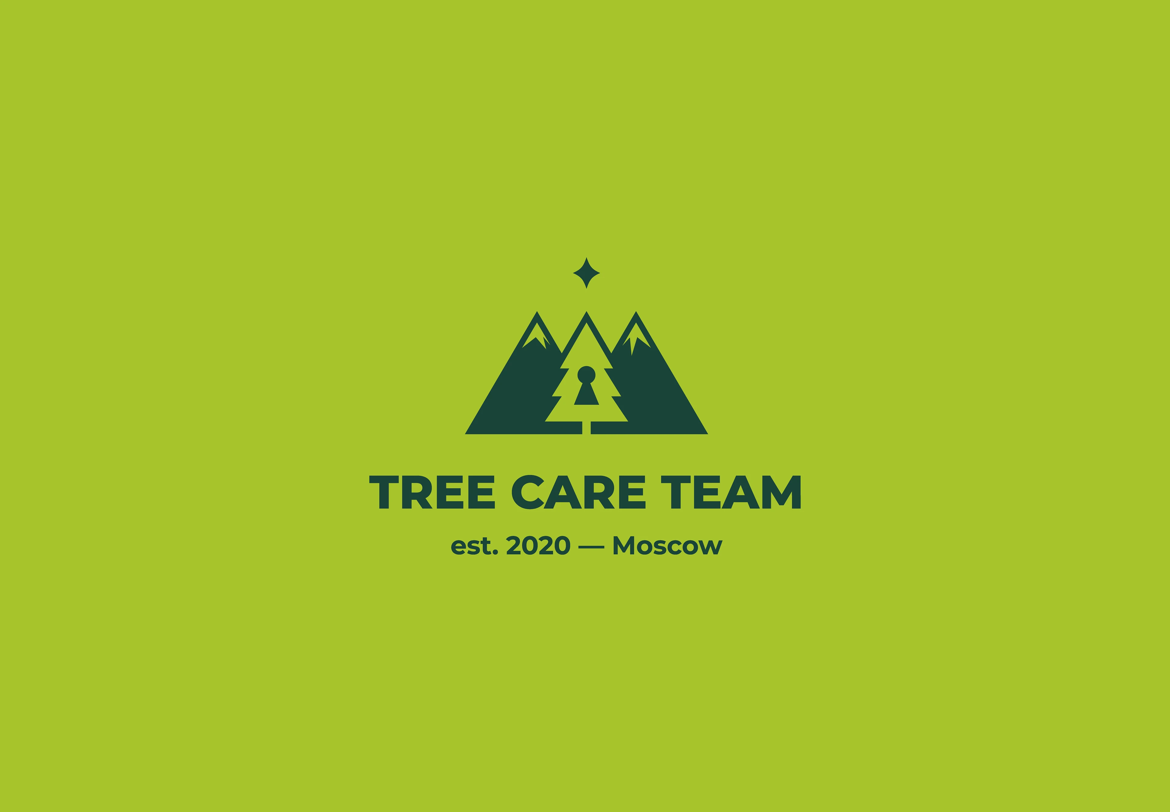 "TREE CARE TEAM" / Промышленный альпинизм и арбористика — Изображение №1 — Брендинг на Dprofile