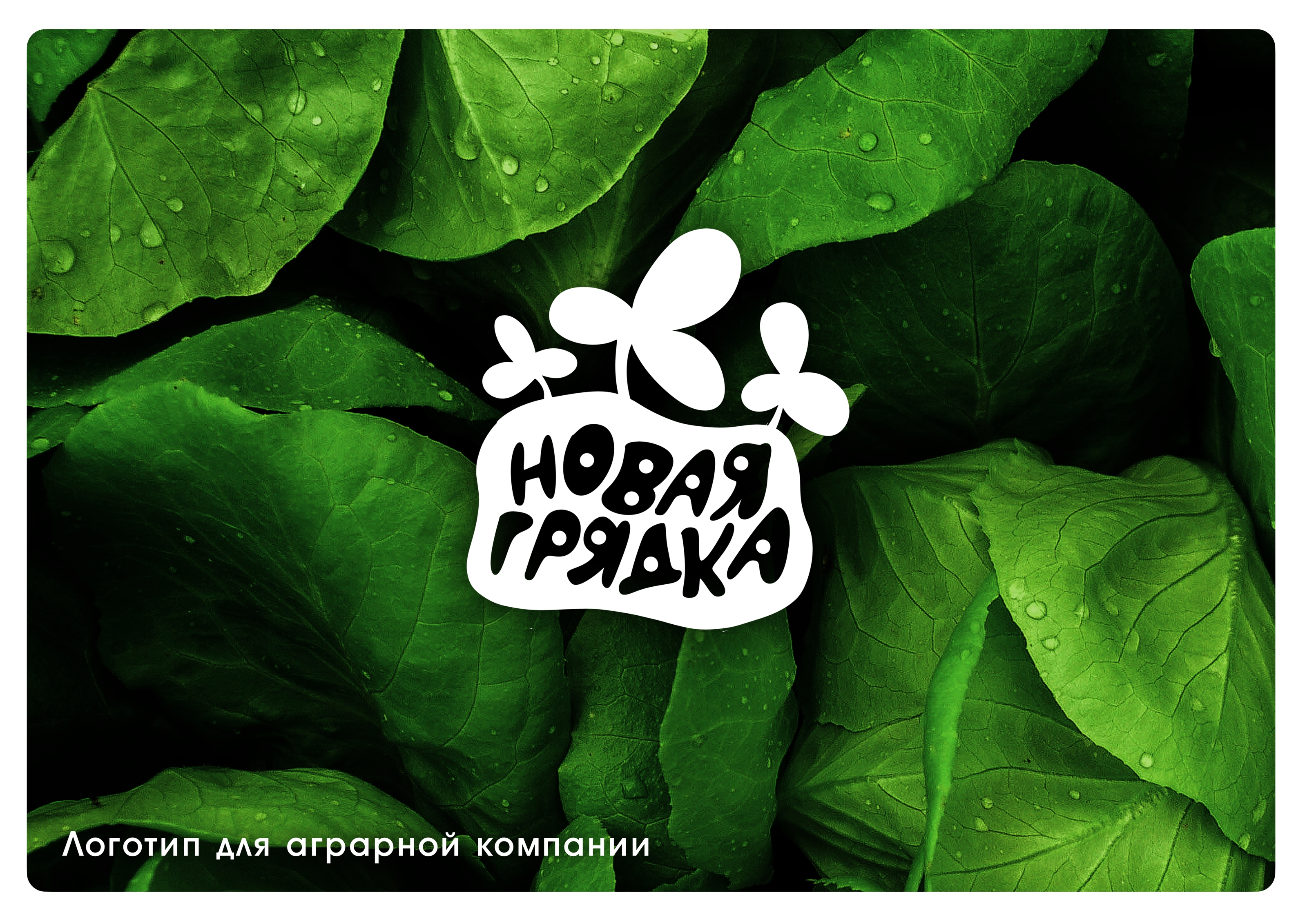 Логофилио - Четыре цвета (Учебный проект) — Изображение №18 — Брендинг на Dprofile