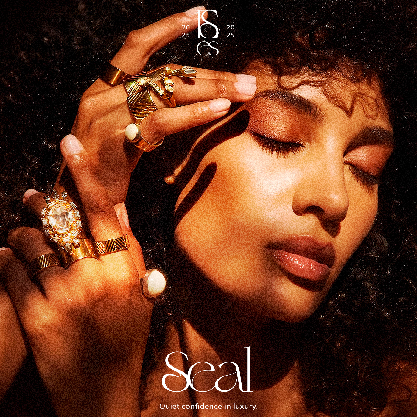 Seal — Изображение №1 — Интерфейсы, Брендинг на Dprofile