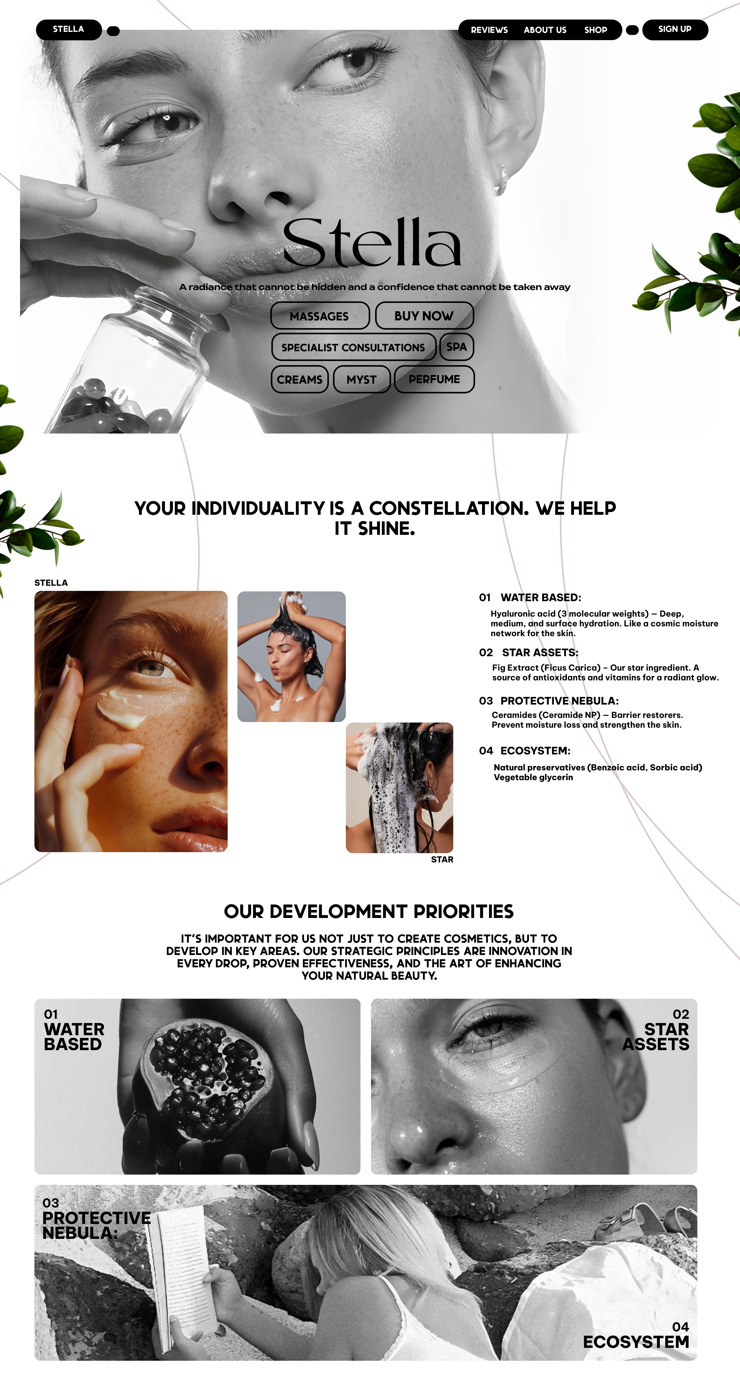 Project Stella: Gravity of Beauty — Изображение №1 — Интерфейсы, Брендинг на Dprofile