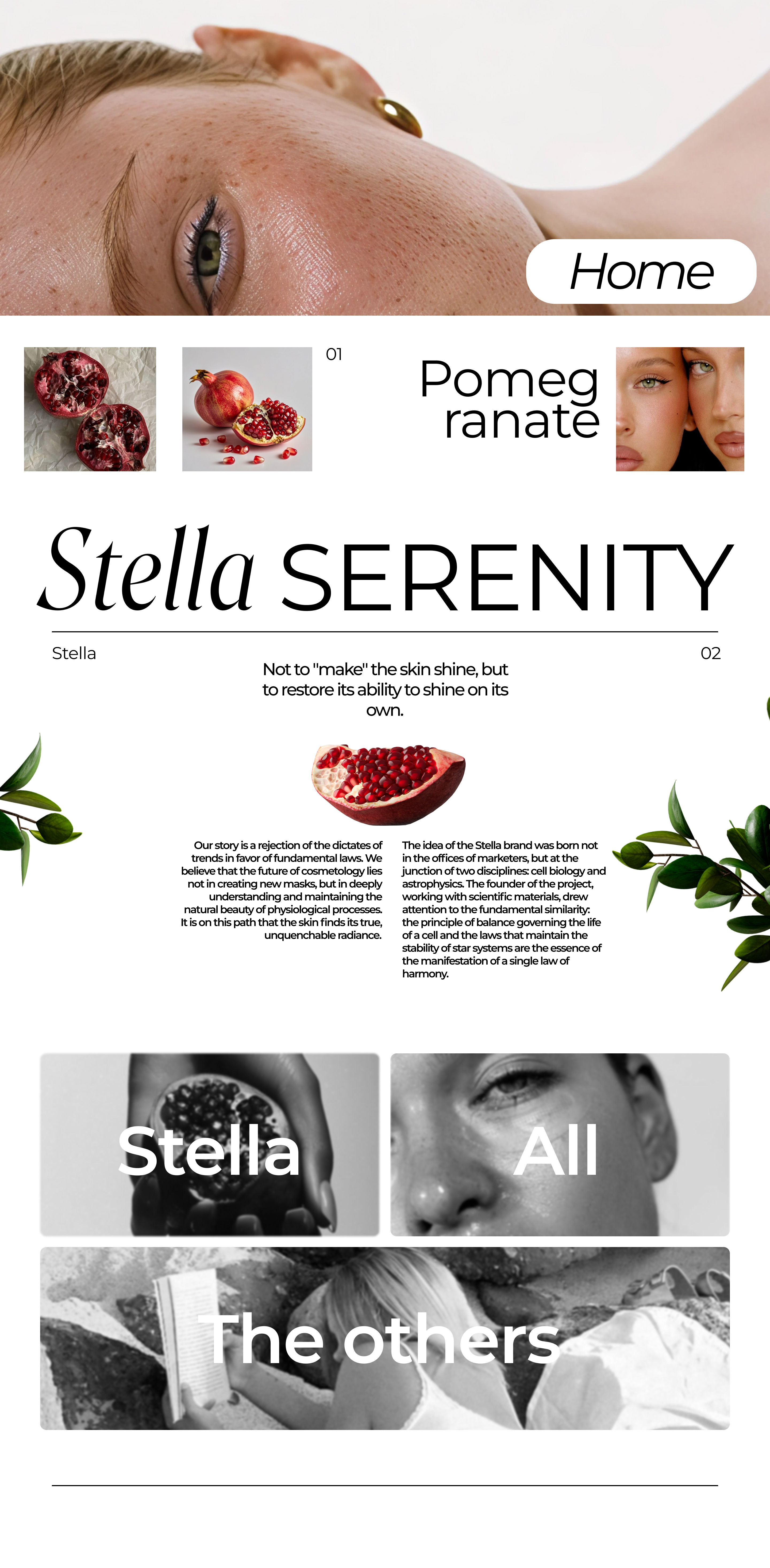 Project Stella: Gravity of Beauty — Изображение №5 — Интерфейсы, Брендинг на Dprofile