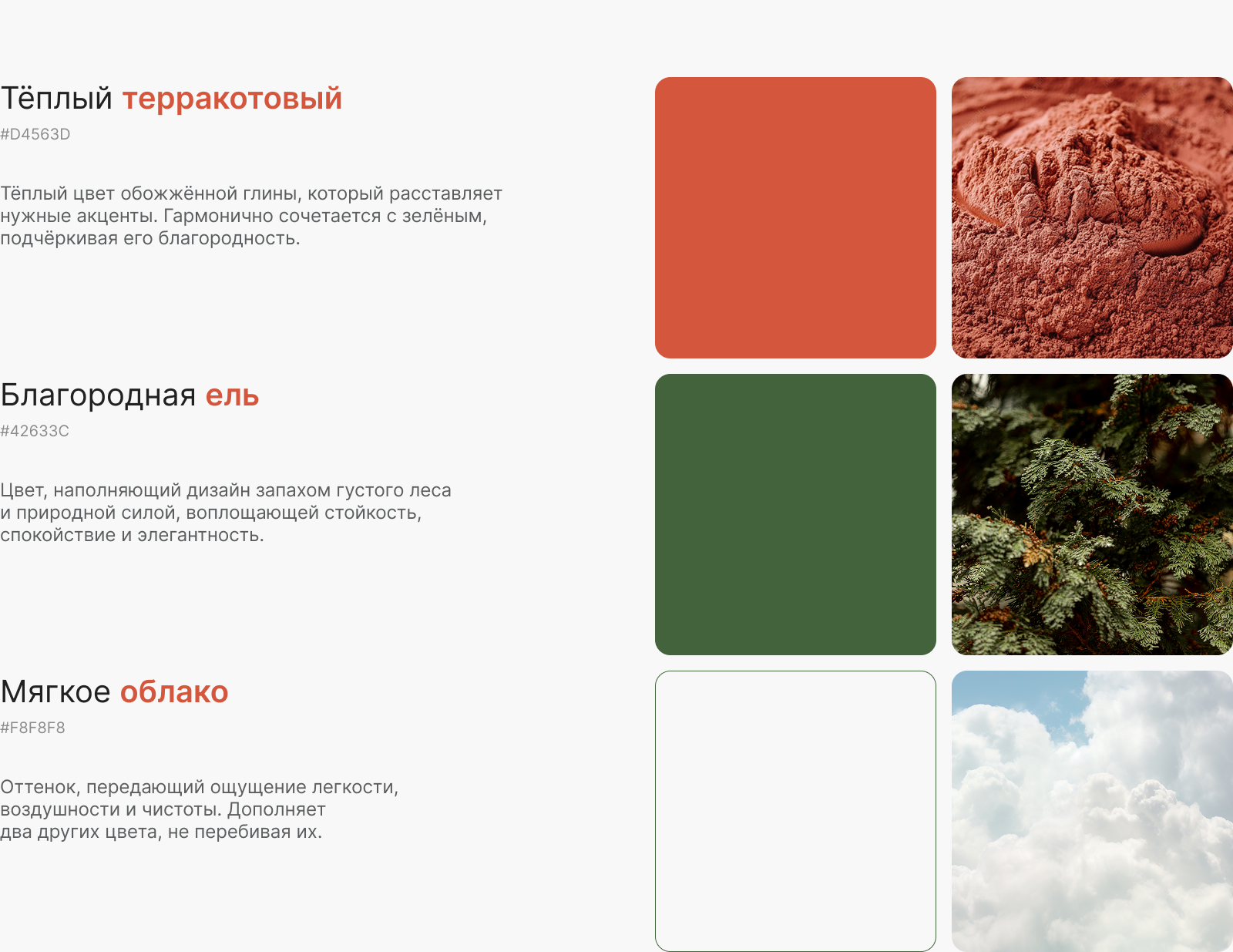 Сайт-портфолио для ландшафтной компании — Изображение №4 — Интерфейсы, Брендинг на Dprofile