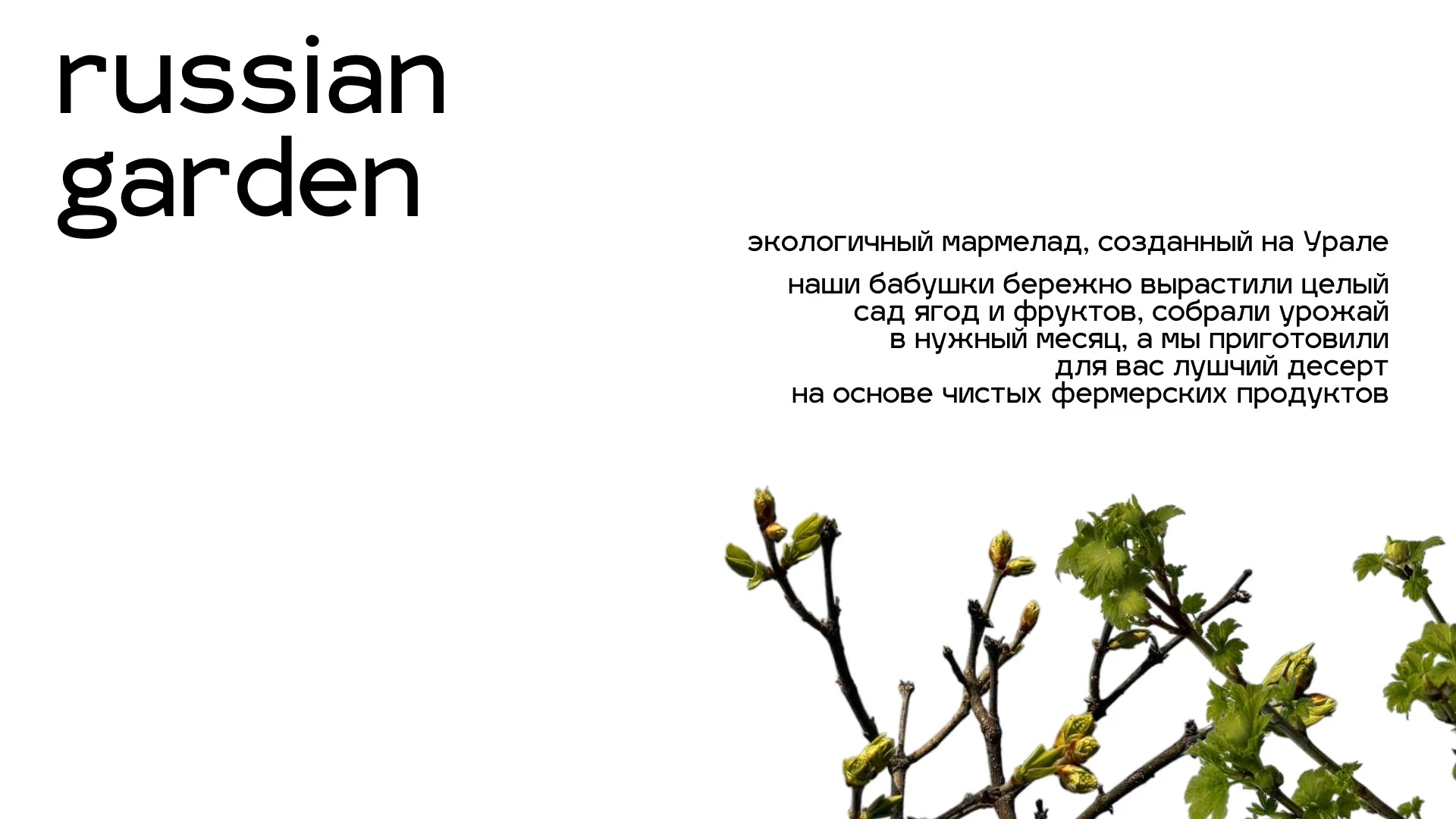 Russian garden — Изображение №1 — Брендинг на Dprofile