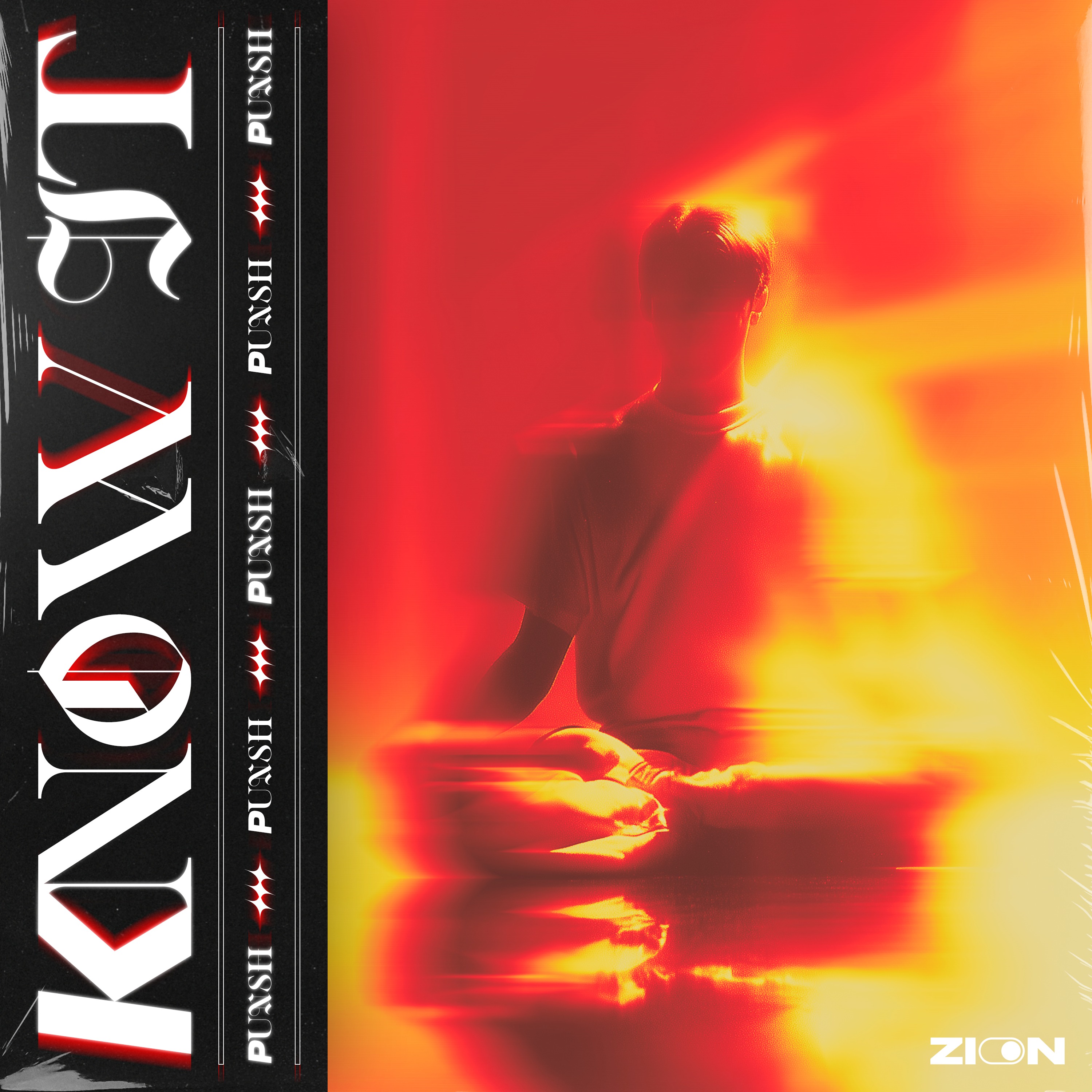 ОБЛОЖКИ ДЛЯ МУЗЫКАЛЬНОГО ЛЕЙБЛА AURA MUSIC — Изображение №68 — Брендинг, Графика на Dprofile