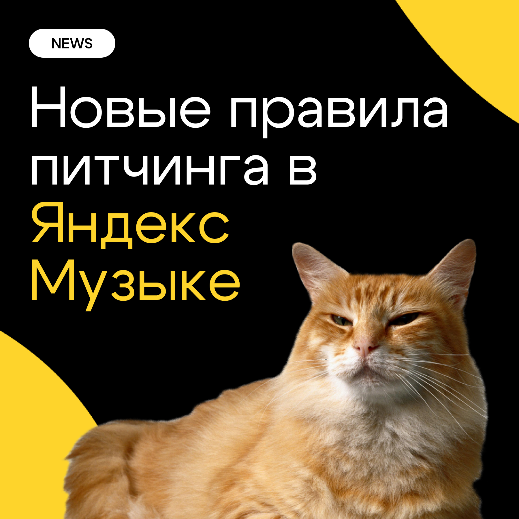 БРЕНДИНГ ДЛЯ МУЗЫКАЛЬНОГО ЛЕЙБЛА AURA MUSIC — Изображение №3 — Брендинг на Dprofile