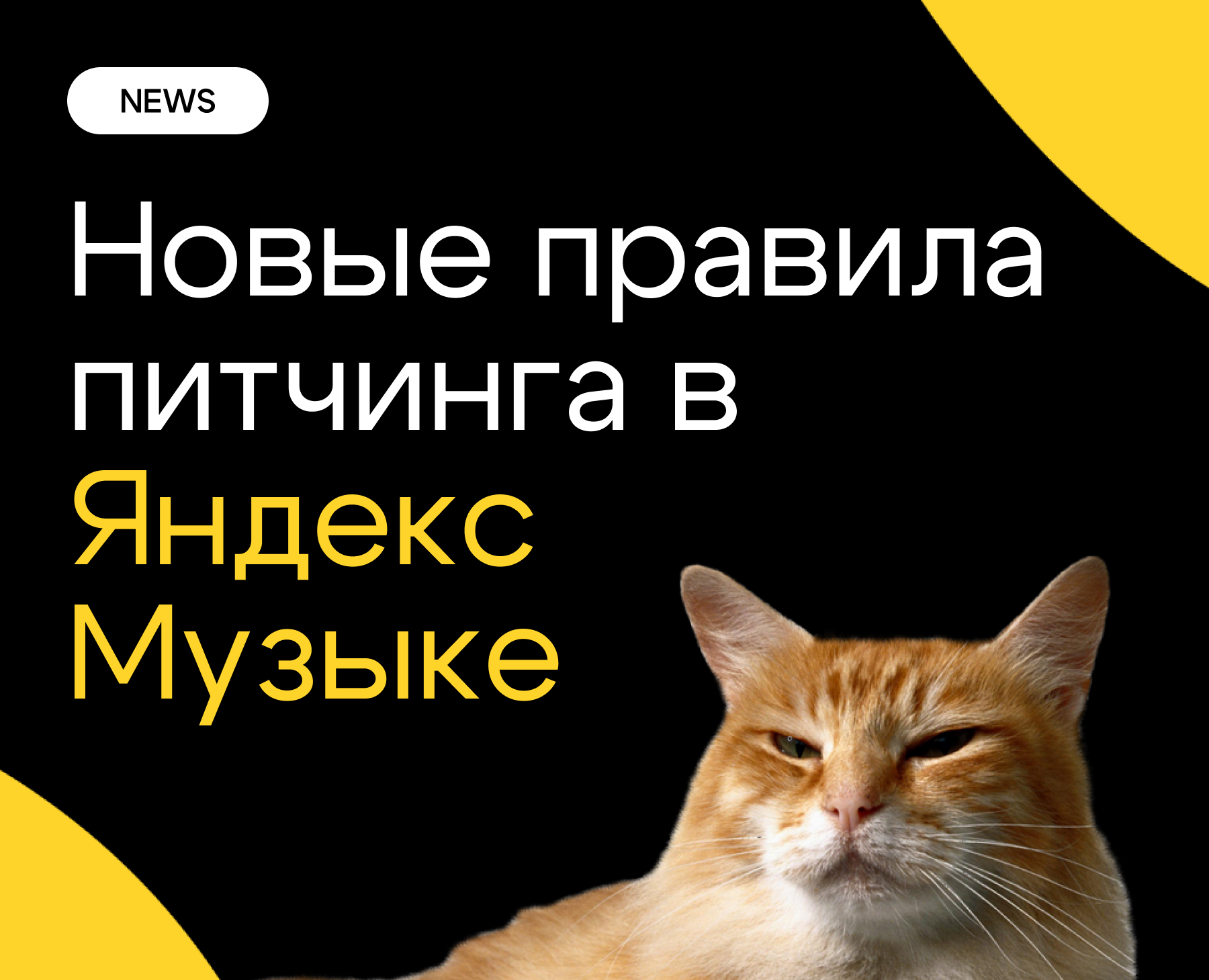 БРЕНДИНГ ДЛЯ МУЗЫКАЛЬНОГО ЛЕЙБЛА AURA MUSIC — Брендинг на Dprofile