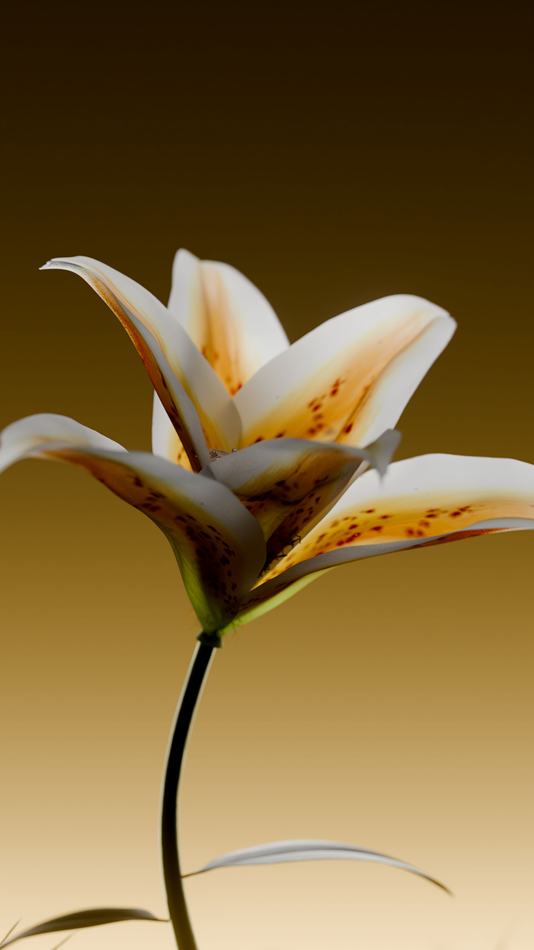 NTRL.JWLR | 3D Моушн-дизайн — Изображение №5 — 3D, Анимация на Dprofile