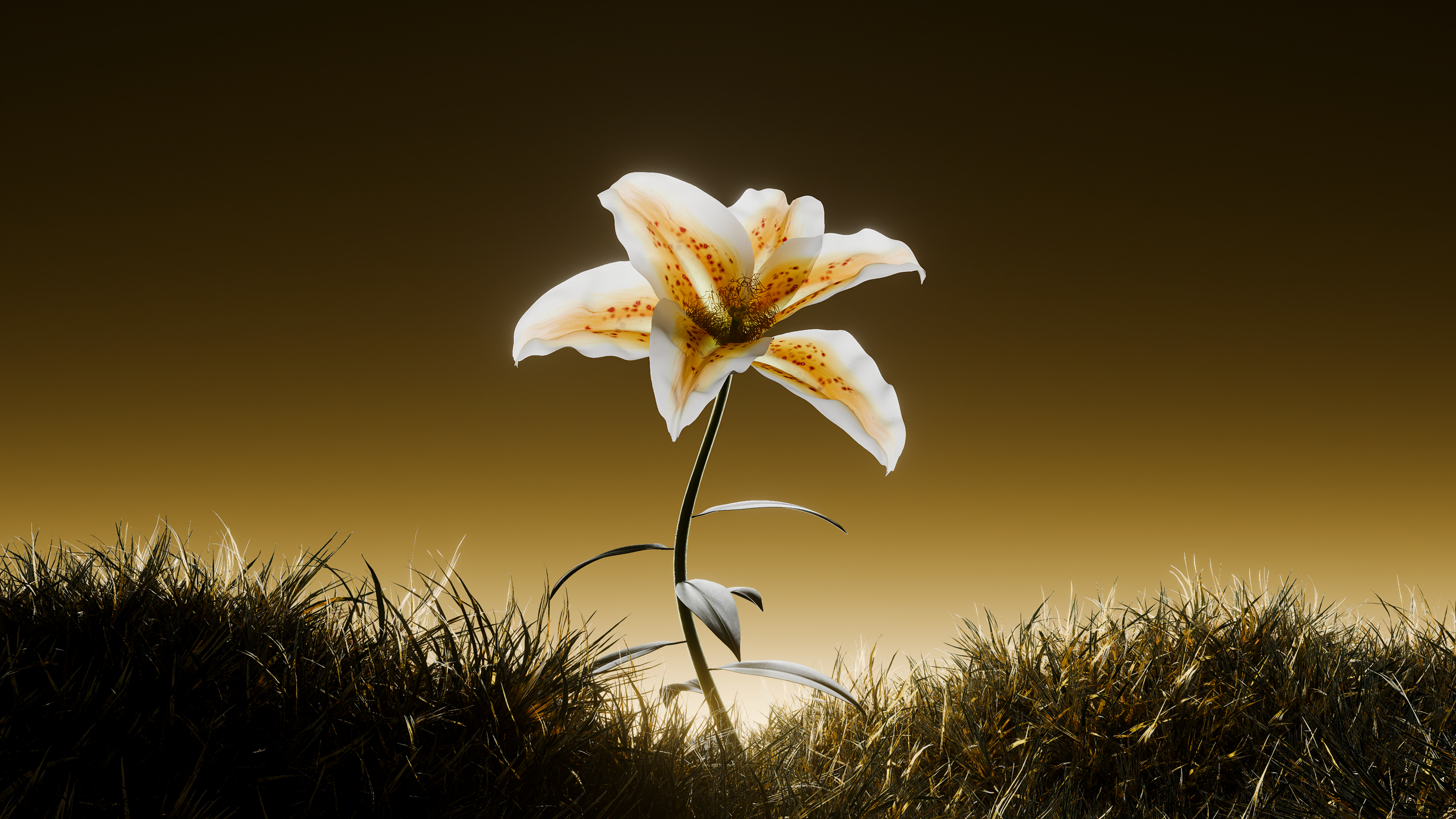 NTRL.JWLR | 3D Моушн-дизайн — Изображение №3 — 3D, Анимация на Dprofile