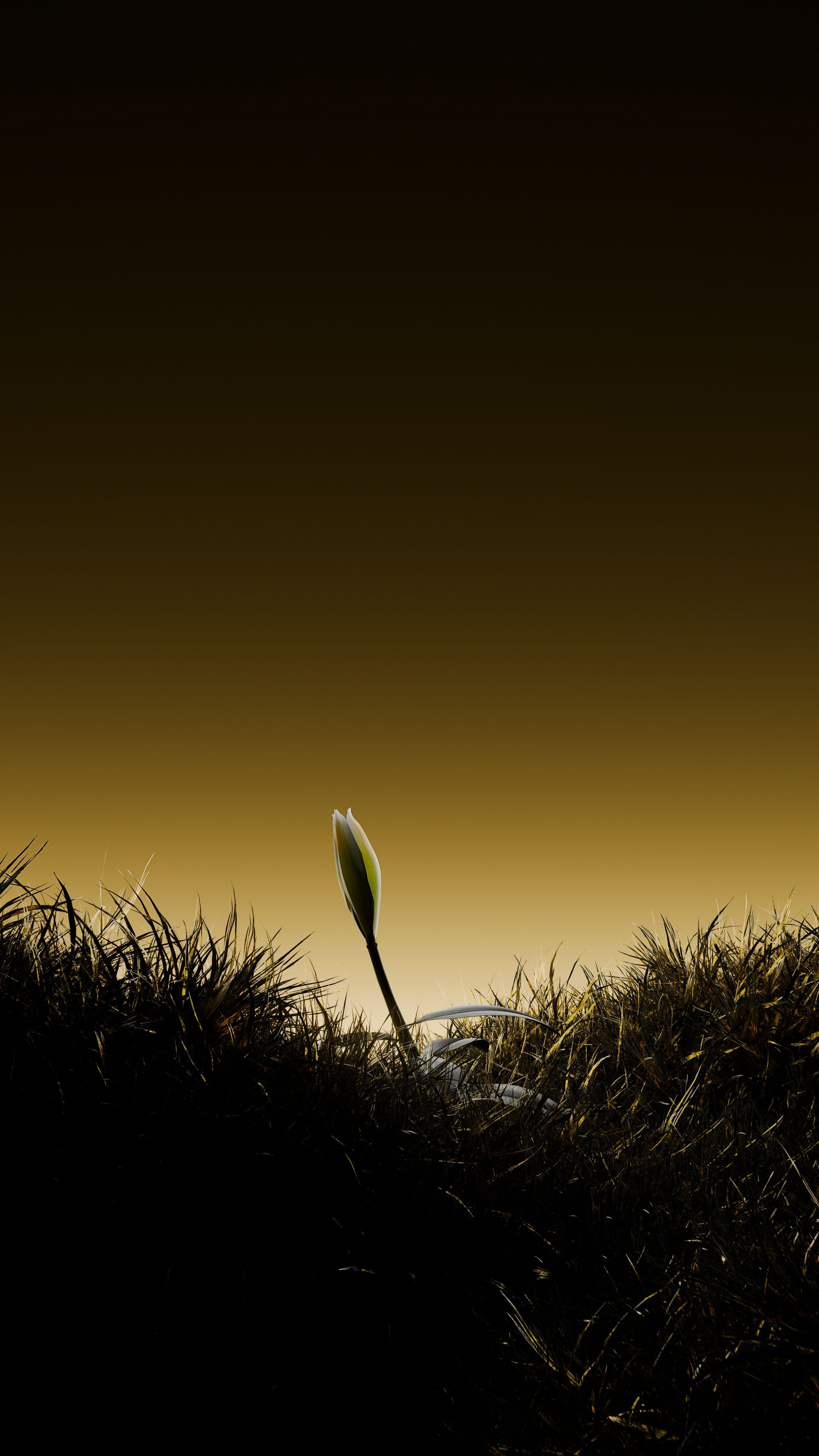 NTRL.JWLR | 3D Моушн-дизайн — Изображение №4 — 3D, Анимация на Dprofile