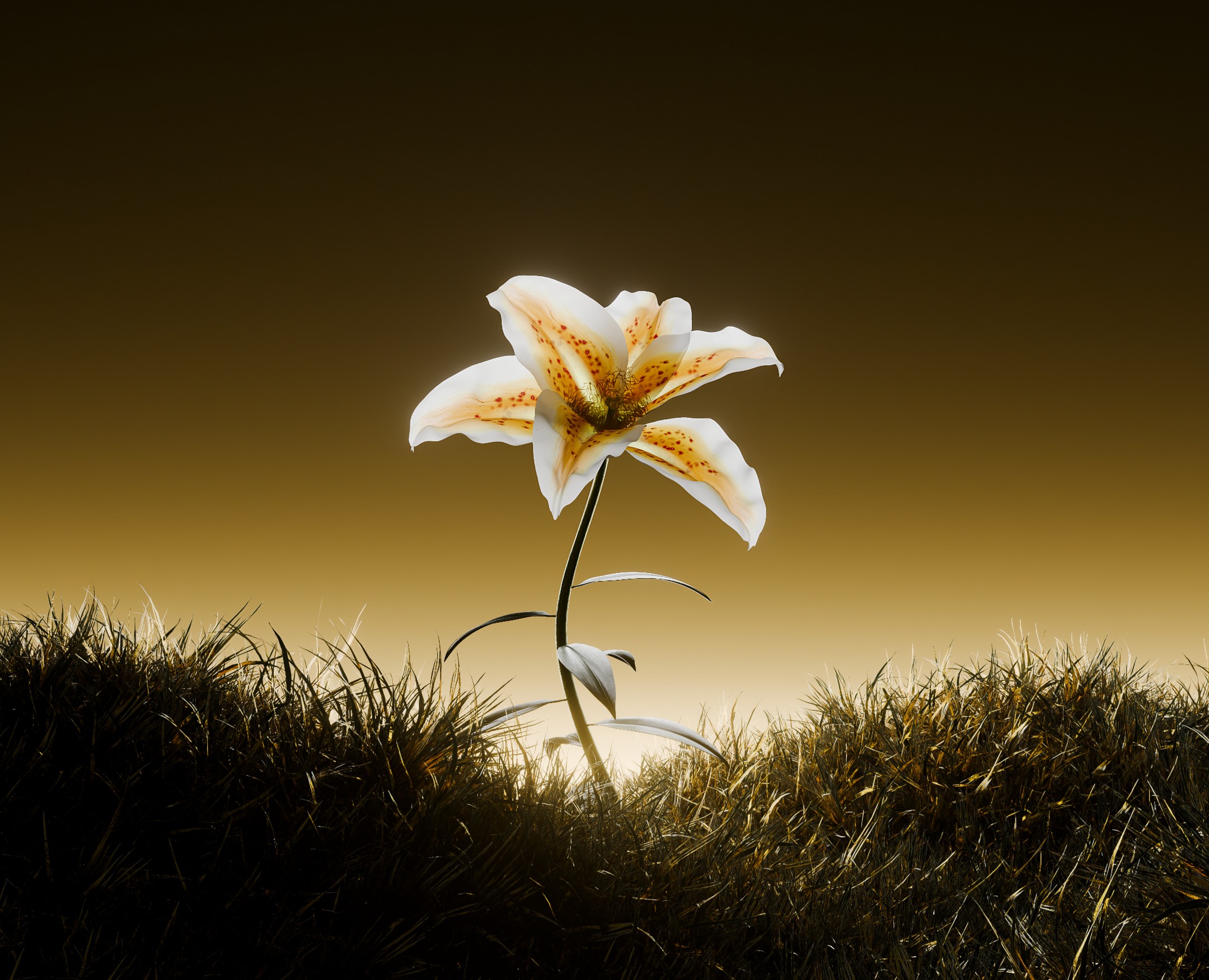 NTRL.JWLR | 3D Моушн-дизайн — 3D, Анимация на Dprofile