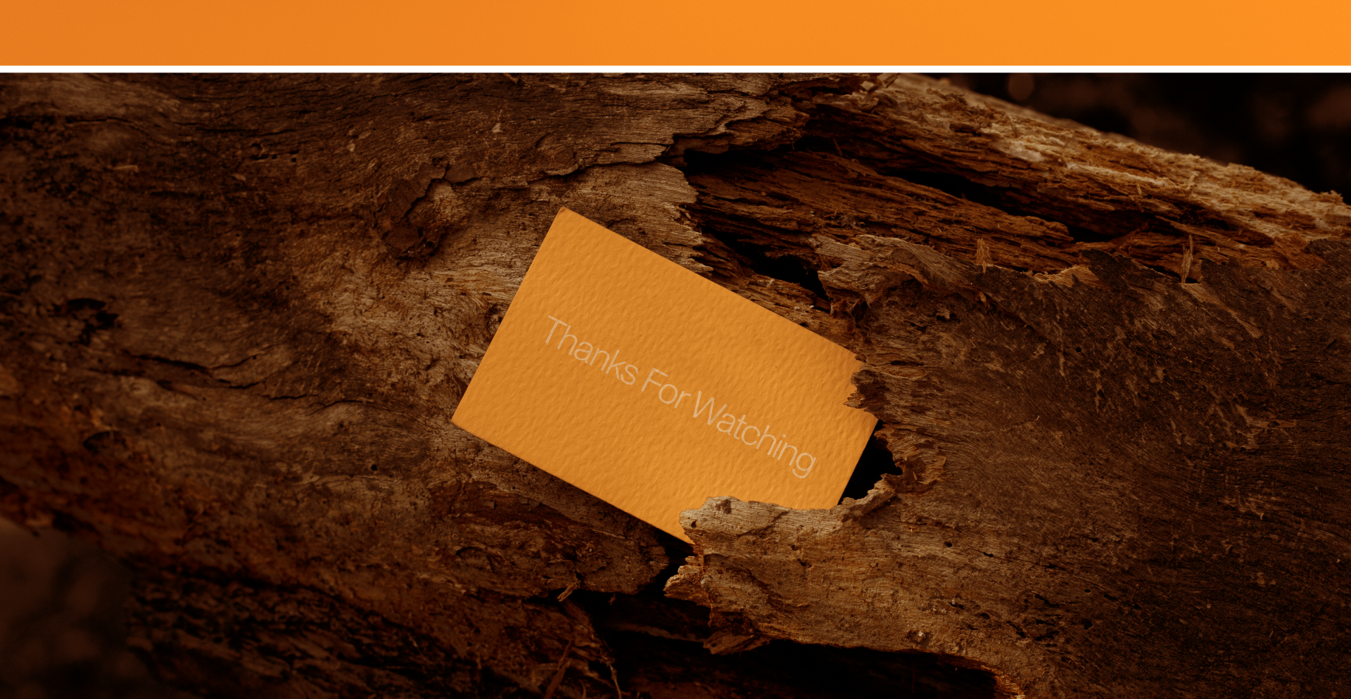 PLANT BASED — Изображение №25 — Брендинг на Dprofile