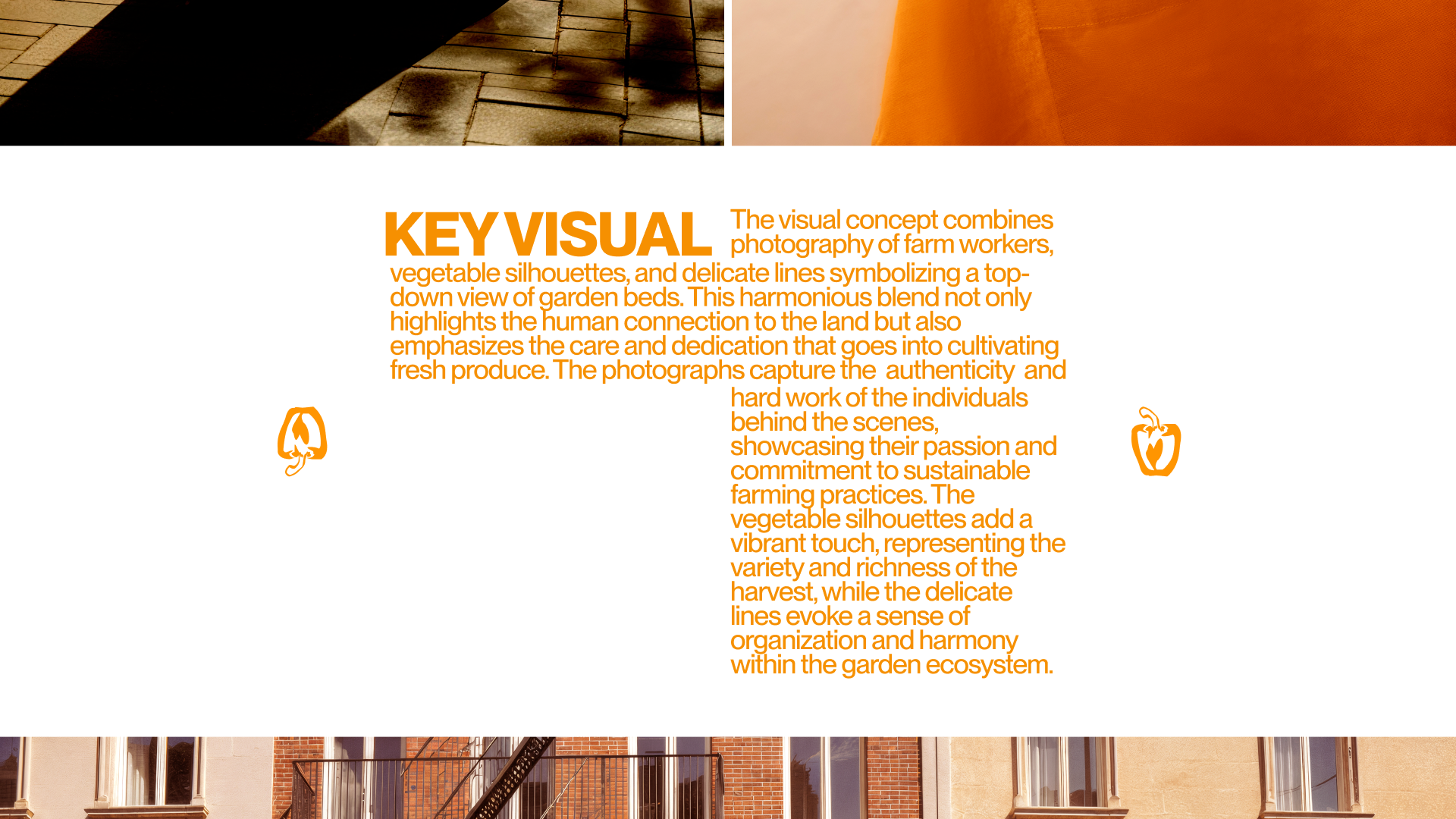 PLANT BASED — Изображение №10 — Брендинг на Dprofile