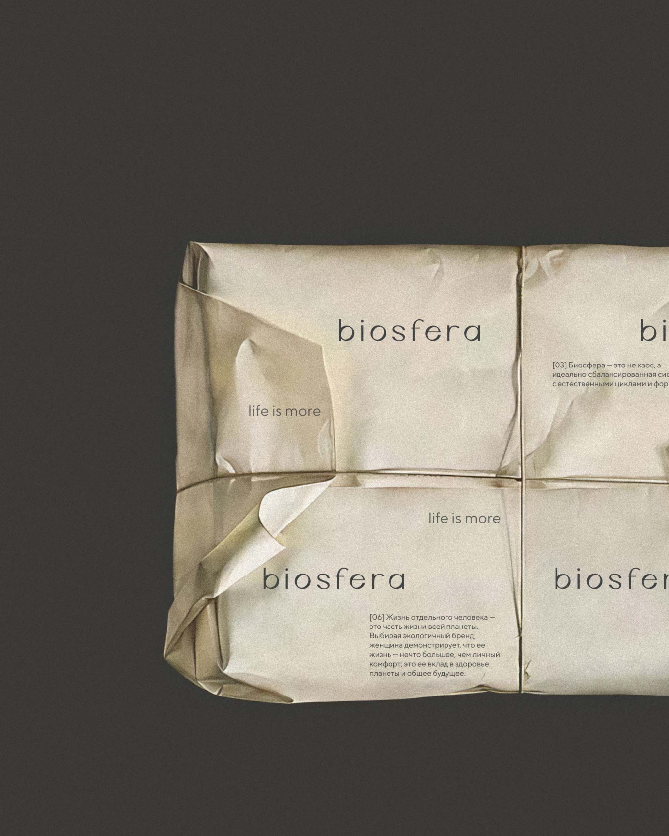 Biosfera — Изображение №11 — Брендинг на Dprofile