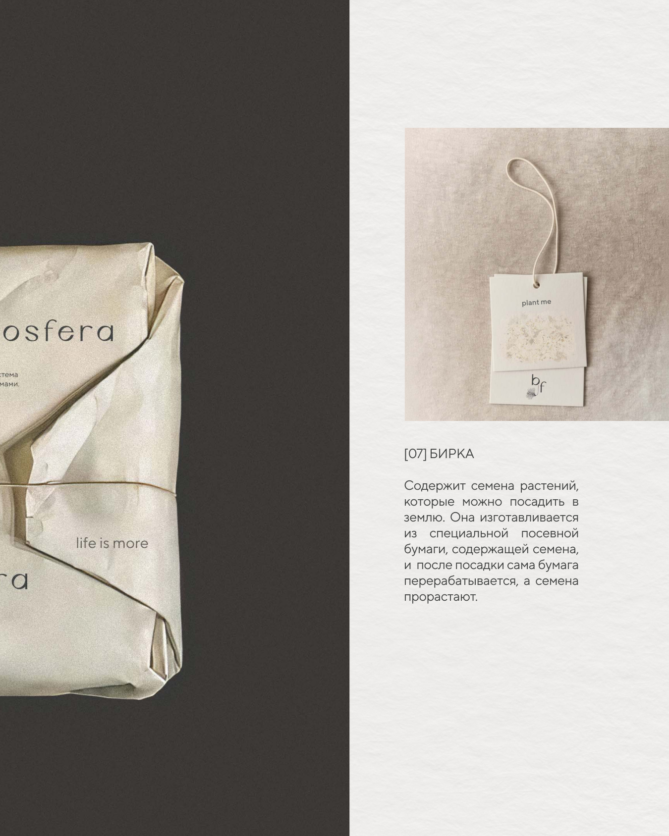 Biosfera — Изображение №12 — Брендинг на Dprofile