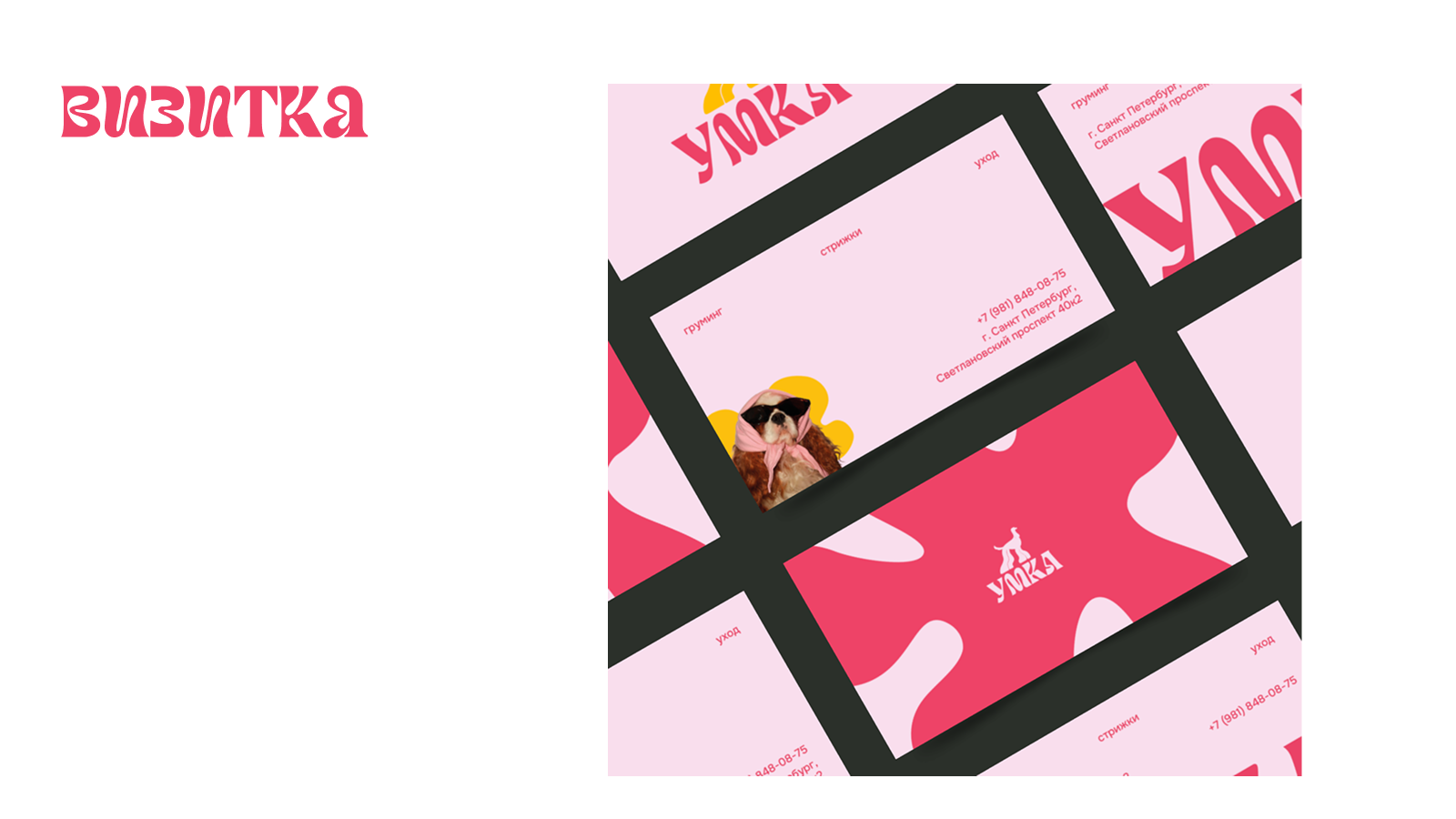 Фирменный стиль для груминг салона — Изображение №10 — Интерфейсы, Брендинг на Dprofile