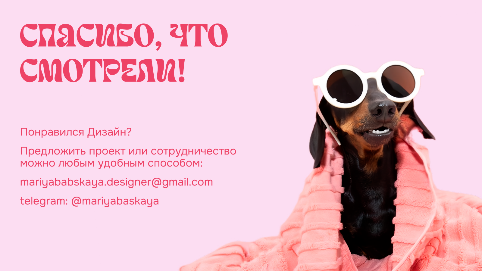 Фирменный стиль для груминг салона — Изображение №13 — Интерфейсы, Брендинг на Dprofile