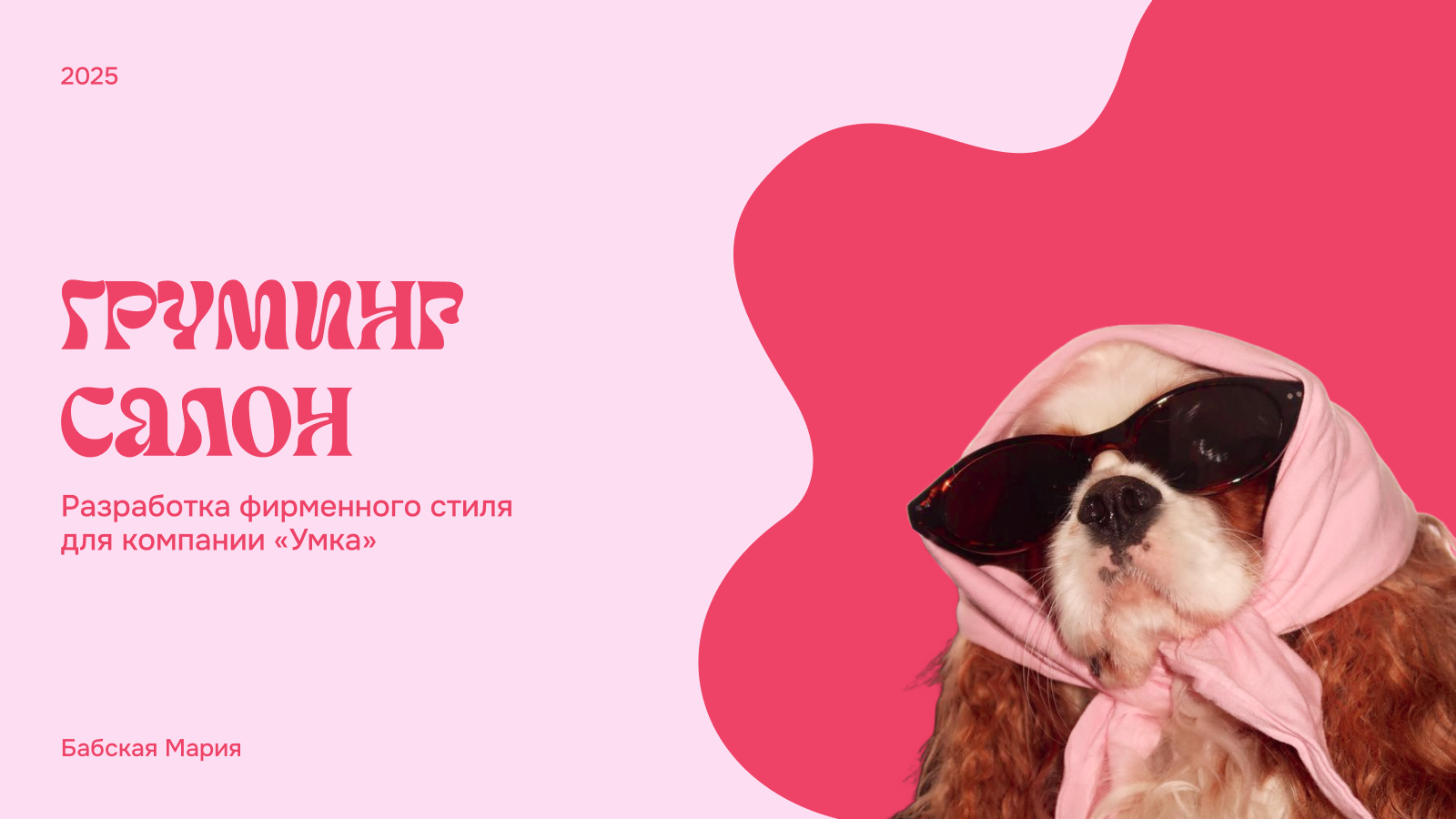 Фирменный стиль для груминг салона — Изображение №1 — Интерфейсы, Брендинг на Dprofile