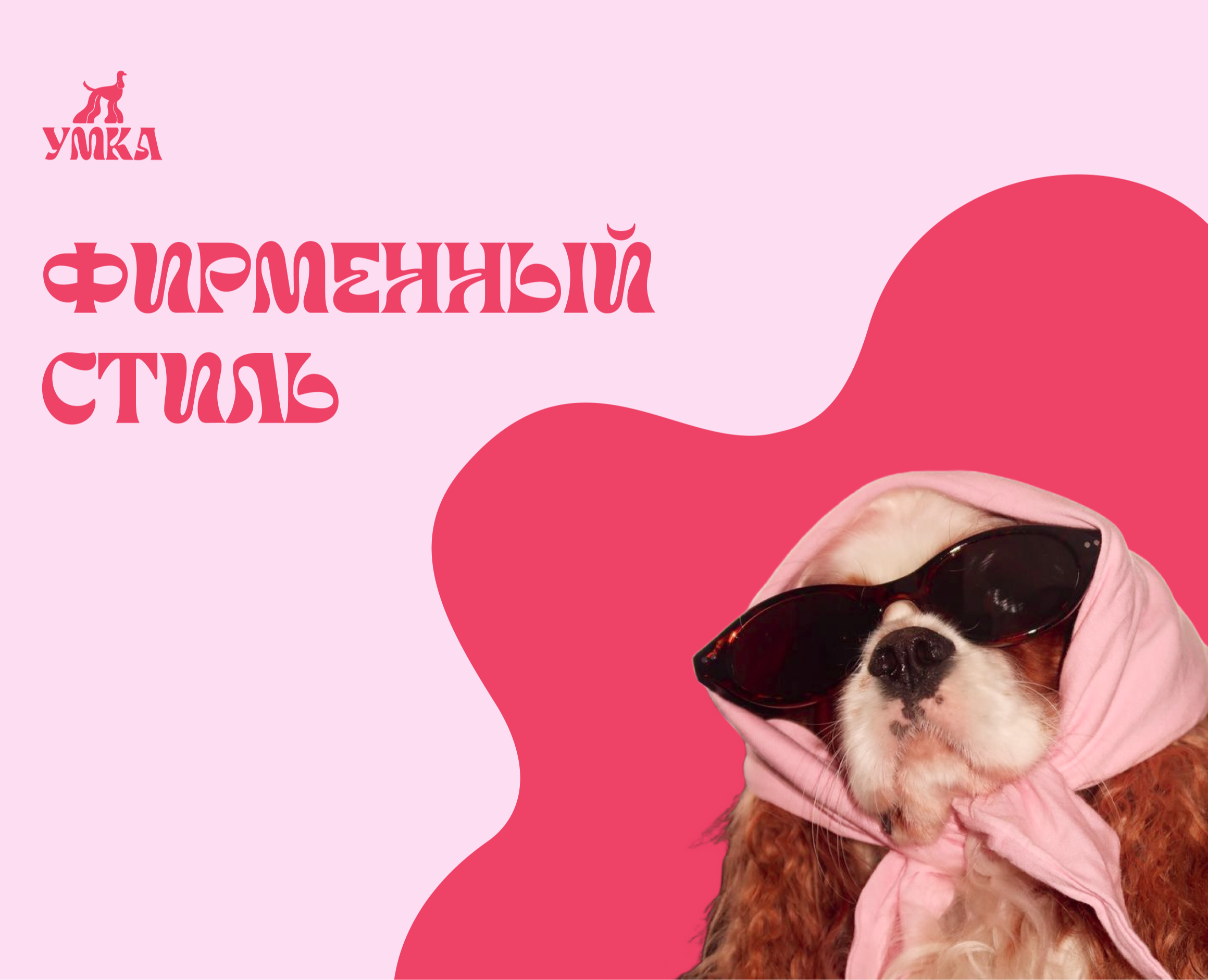 Фирменный стиль для груминг салона — Интерфейсы, Брендинг на Dprofile