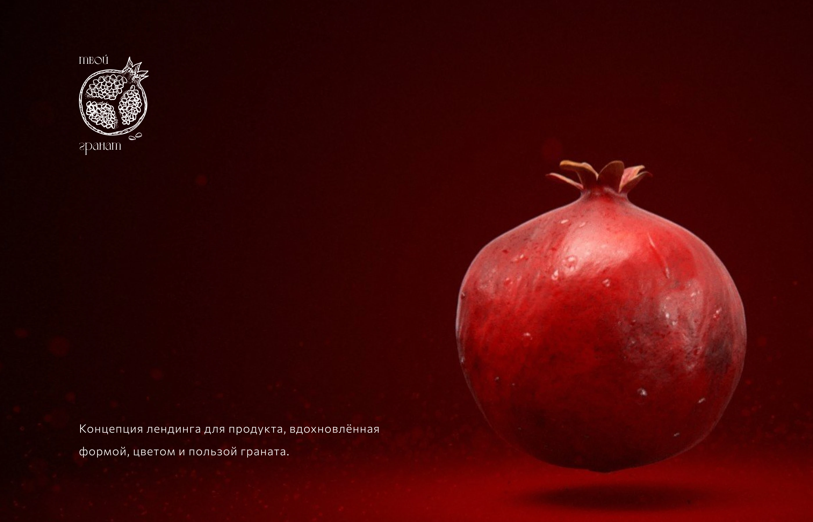 Landing page concept for pomegranate — Изображение №1 — Интерфейсы, Маркетинг на Dprofile