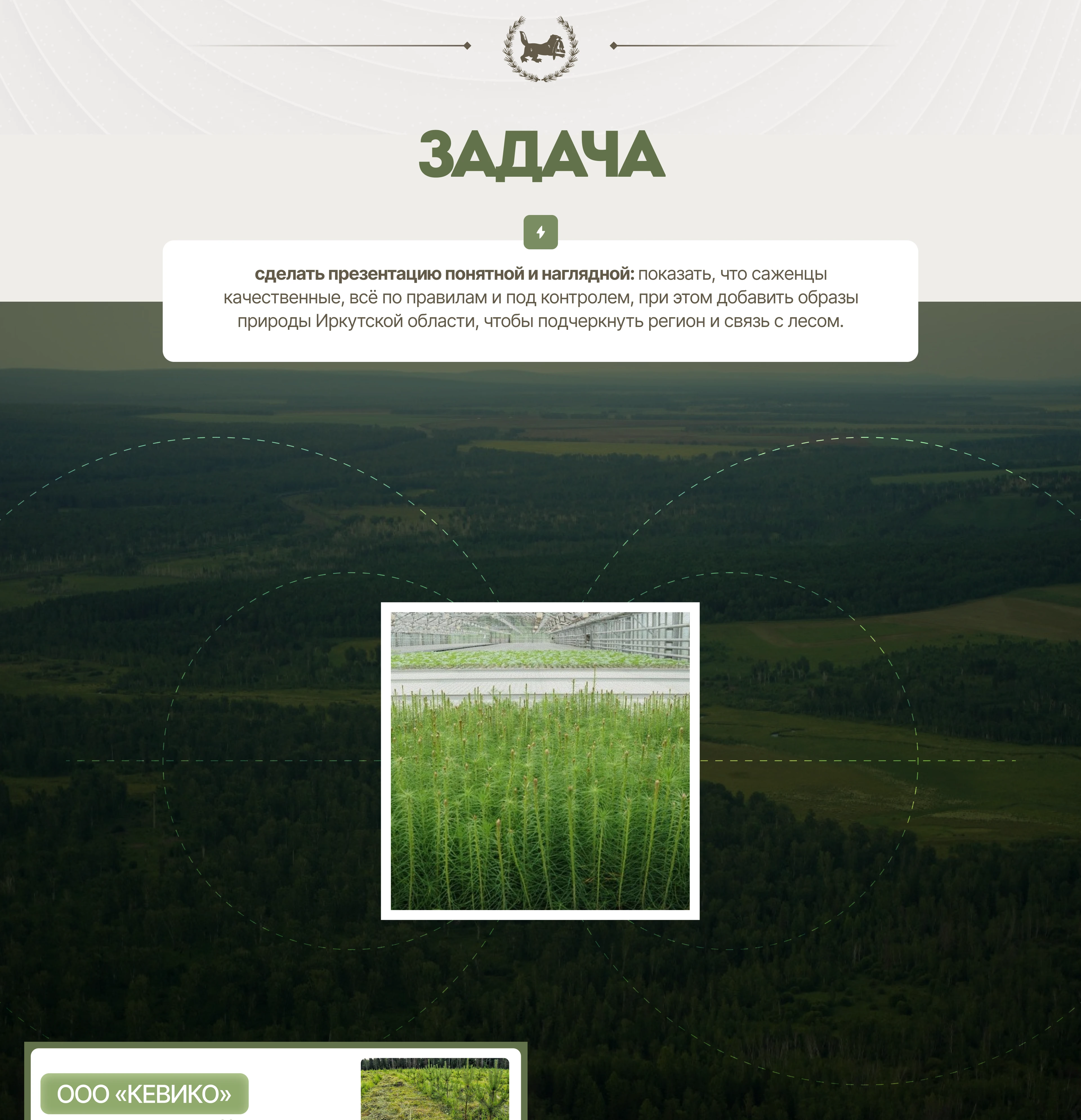 Кевико — Изображение №2 — Интерфейсы, Брендинг на Dprofile