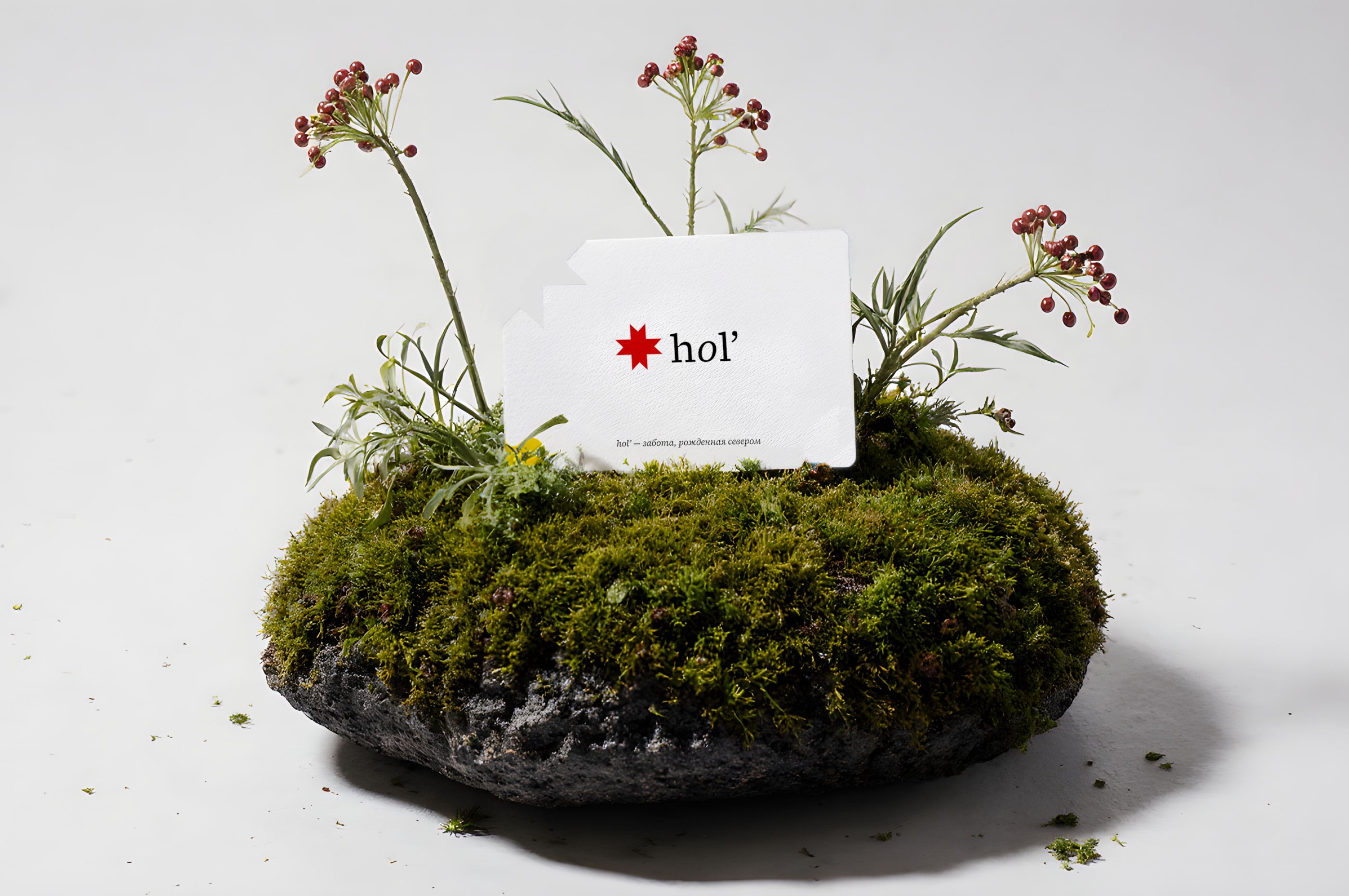 Hol' — уходовая косметика — Изображение №7 — Брендинг на Dprofile