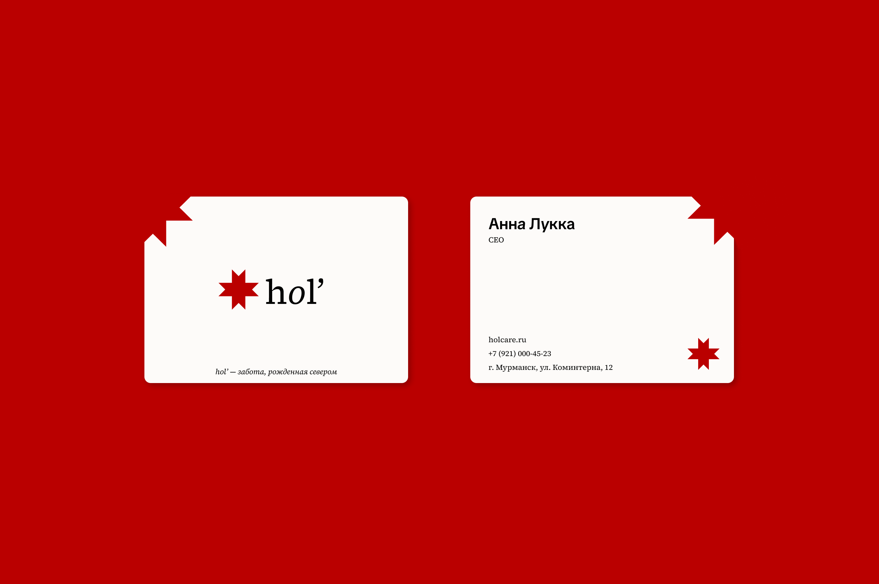 Hol' — уходовая косметика — Изображение №6 — Брендинг на Dprofile