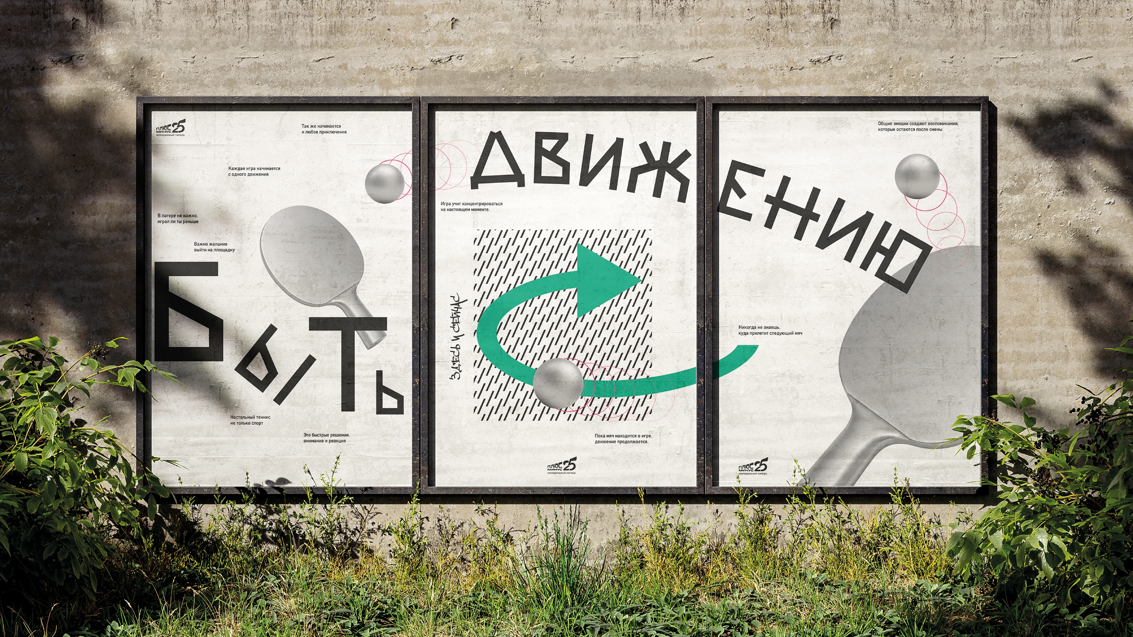 PORTFOLIO 2026 | Портфолио графического дизайнера — Изображение №6 — Брендинг, Графика на Dprofile