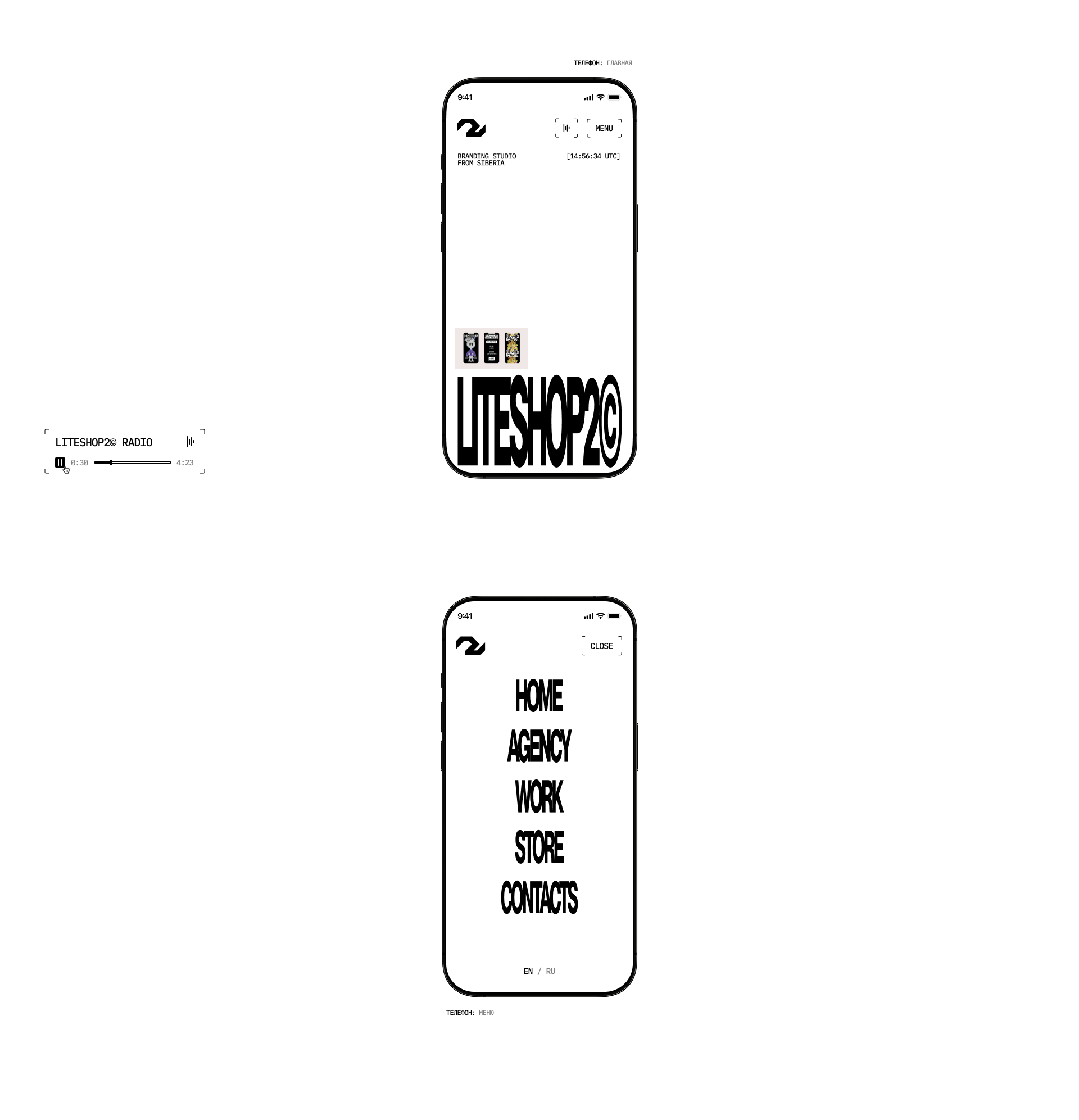 LITESHOP2© | Website — Изображение №2 — Интерфейсы, Анимация на Dprofile