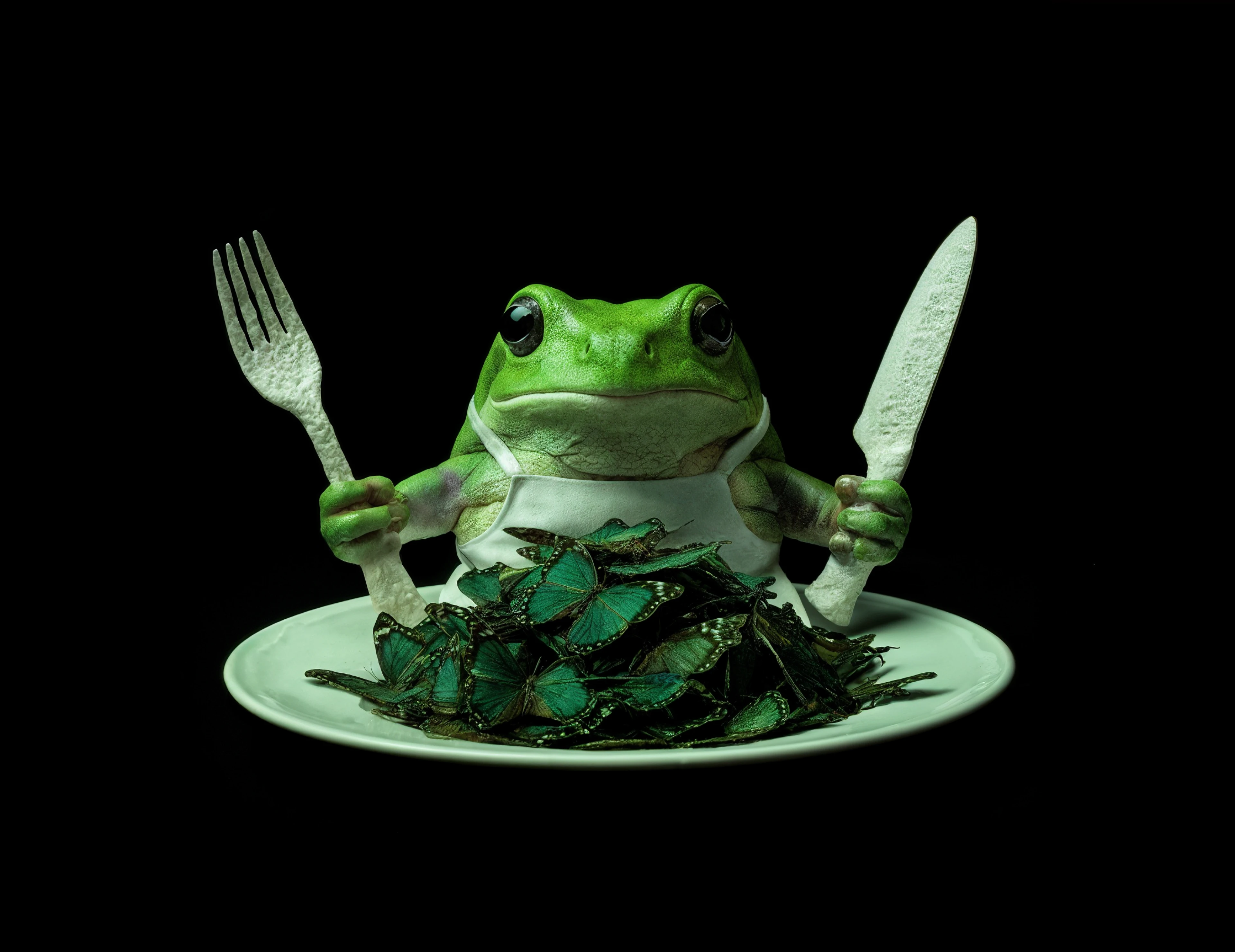 ИТБИ — Изображение №12 — Брендинг на Dprofile