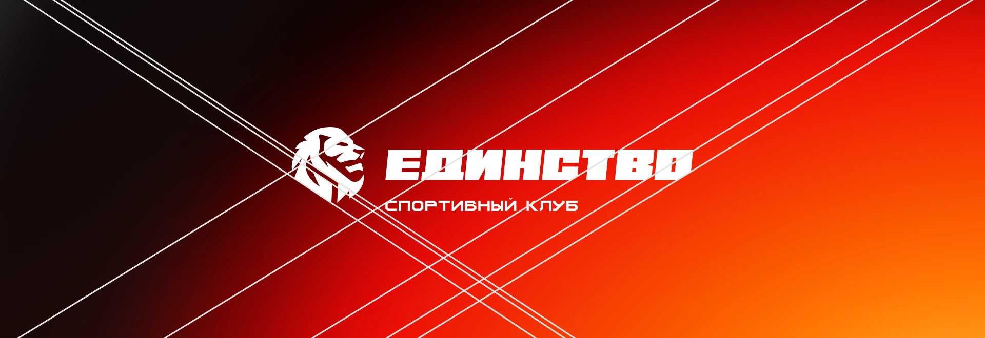 Спортивный клуб | тренажерный зал | фирменный стиль | логотип — Изображение №10 — Брендинг, Графика на Dprofile