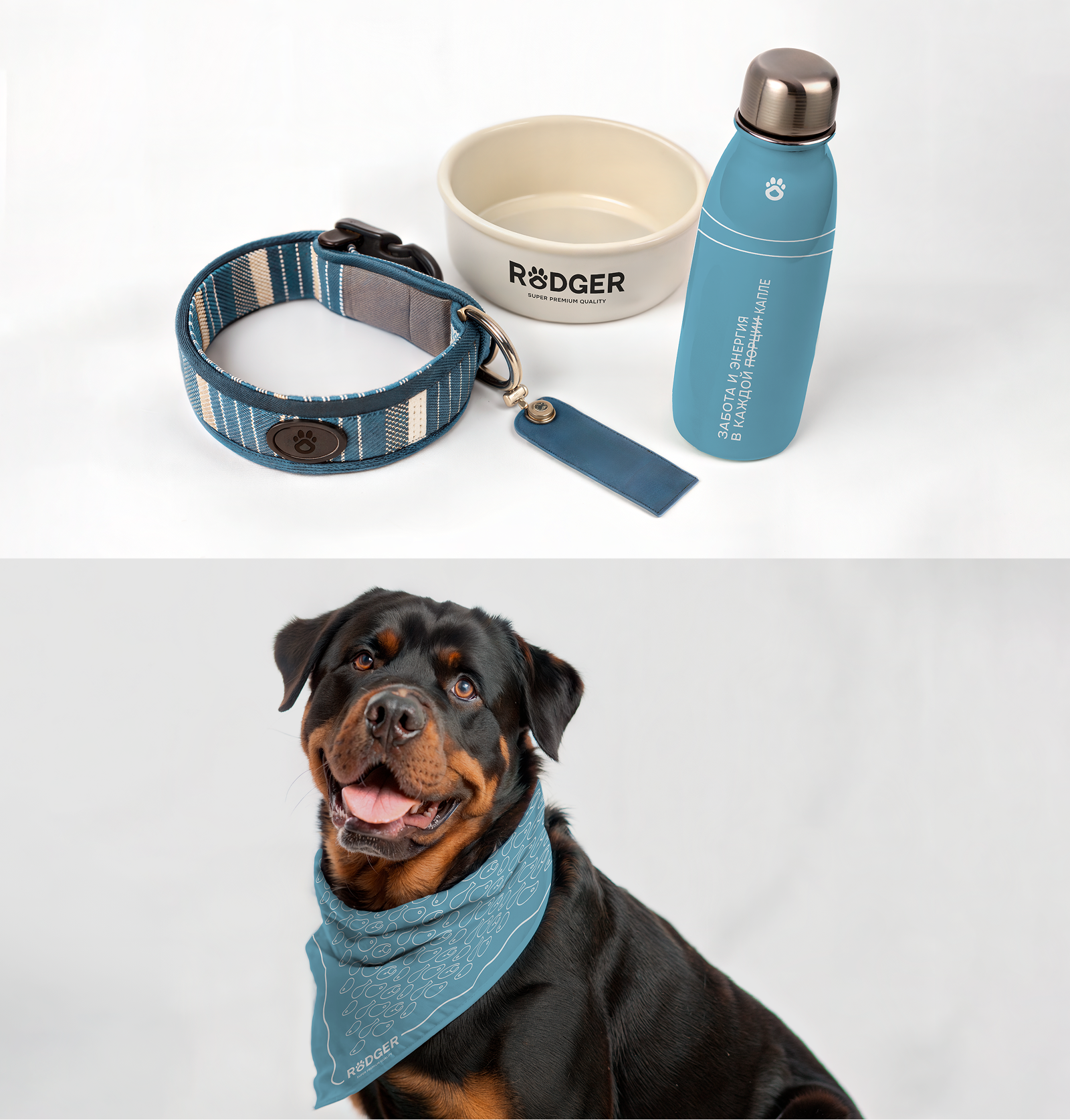 RODGER | Брендинг и разработка сайта для сухого корма — Изображение №5 — Интерфейсы, Брендинг на Dprofile