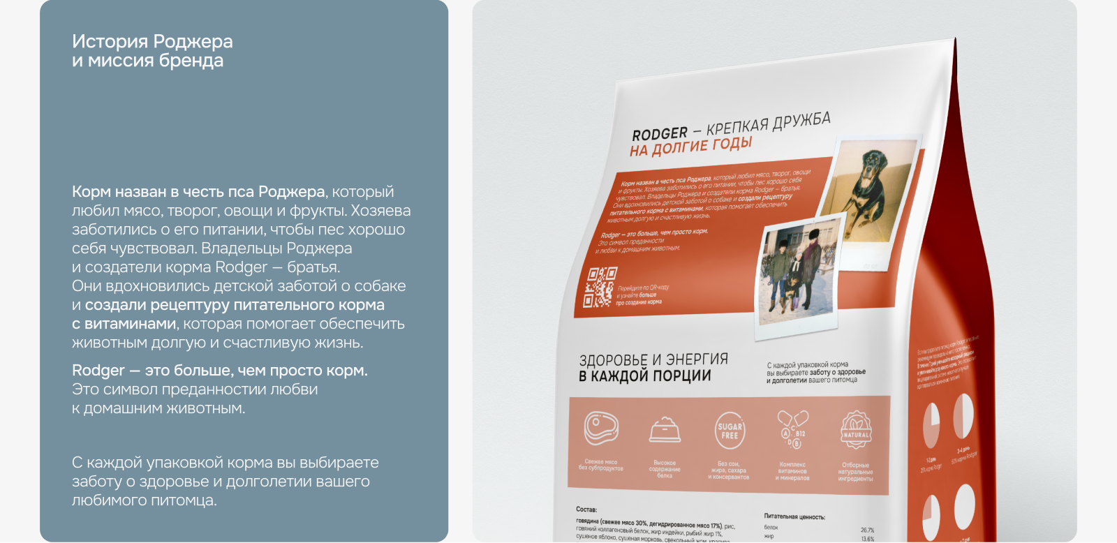 RODGER | Брендинг и разработка сайта для сухого корма — Изображение №9 — Интерфейсы, Брендинг на Dprofile