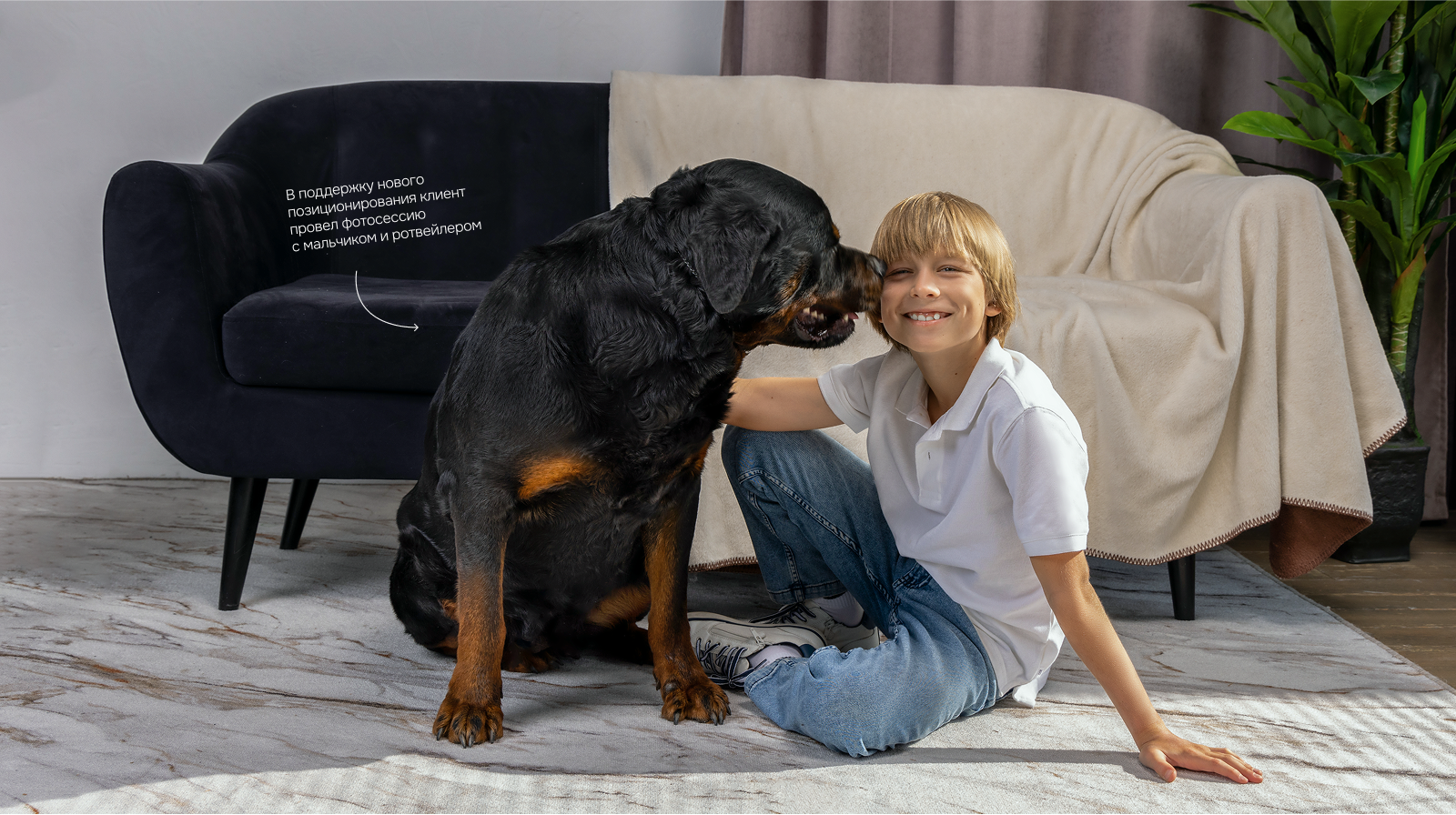 RODGER | Брендинг и разработка сайта для сухого корма — Изображение №3 — Интерфейсы, Брендинг на Dprofile