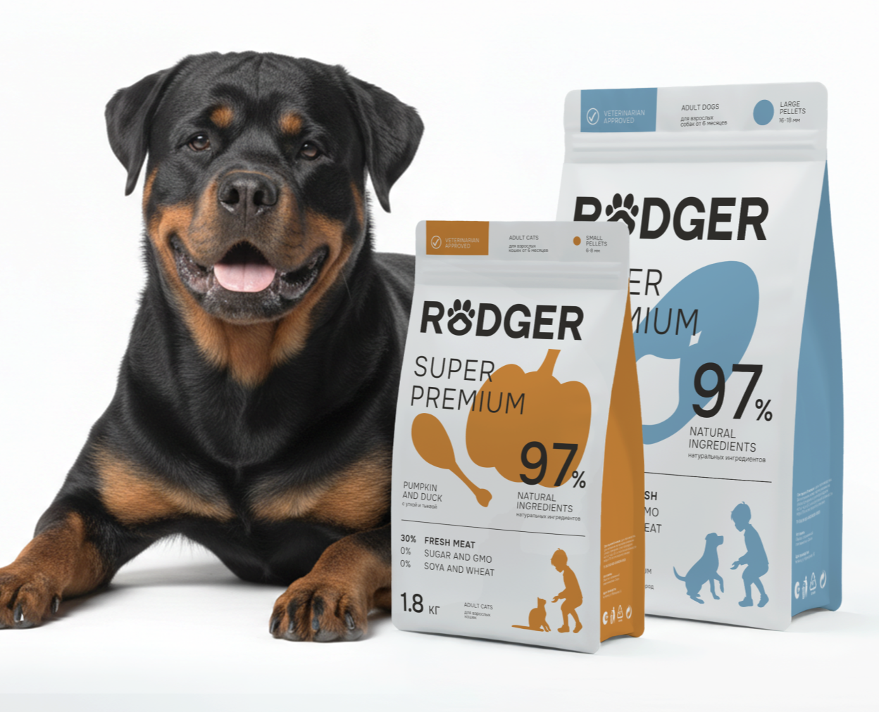 RODGER | Брендинг и разработка сайта для сухого корма — Интерфейсы, Брендинг на Dprofile