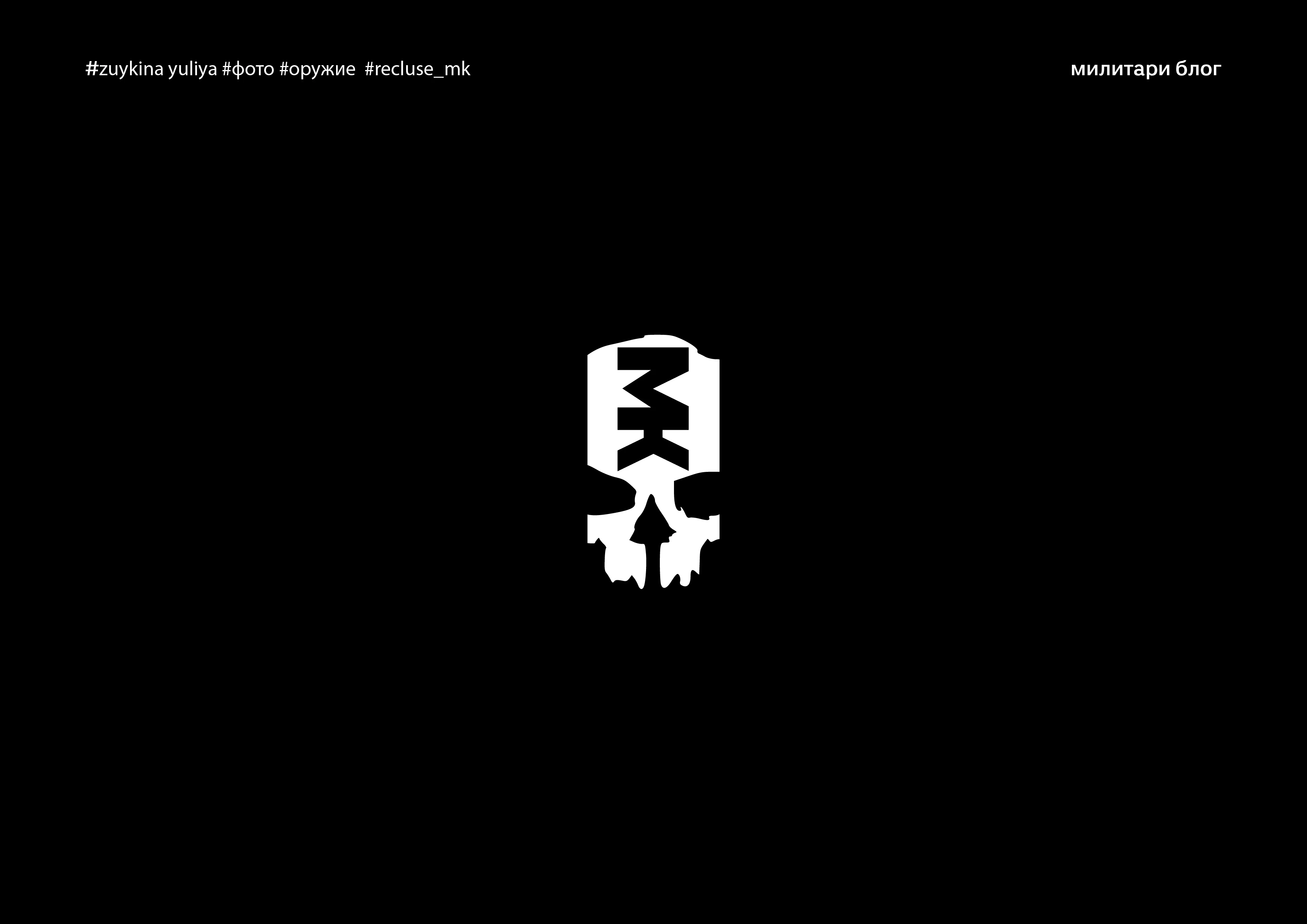 logotype (ЧБ) — Изображение №4 — Брендинг на Dprofile