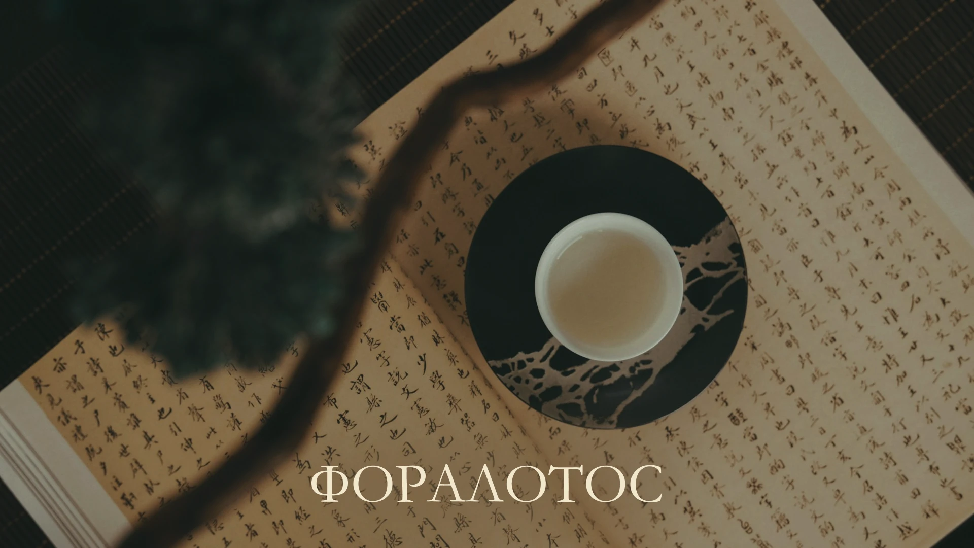 Брендинг, нейминг, упаковка / Продукция из лотоса, чай — Изображение №1 — Брендинг на Dprofile