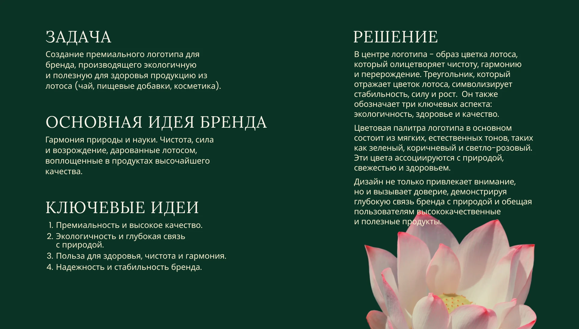 Брендинг, нейминг, упаковка / Продукция из лотоса, чай — Изображение №2 — Брендинг на Dprofile
