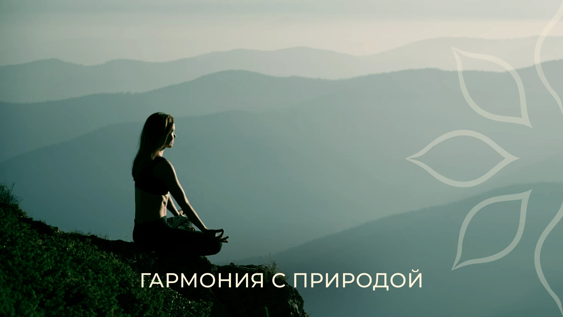 Брендинг, нейминг, упаковка / Продукция из лотоса, чай — Изображение №3 — Брендинг на Dprofile