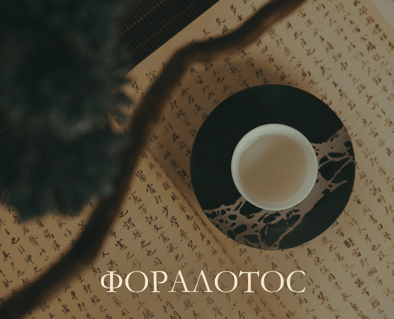 Брендинг, нейминг, упаковка / Продукция из лотоса, чай на Dprofile