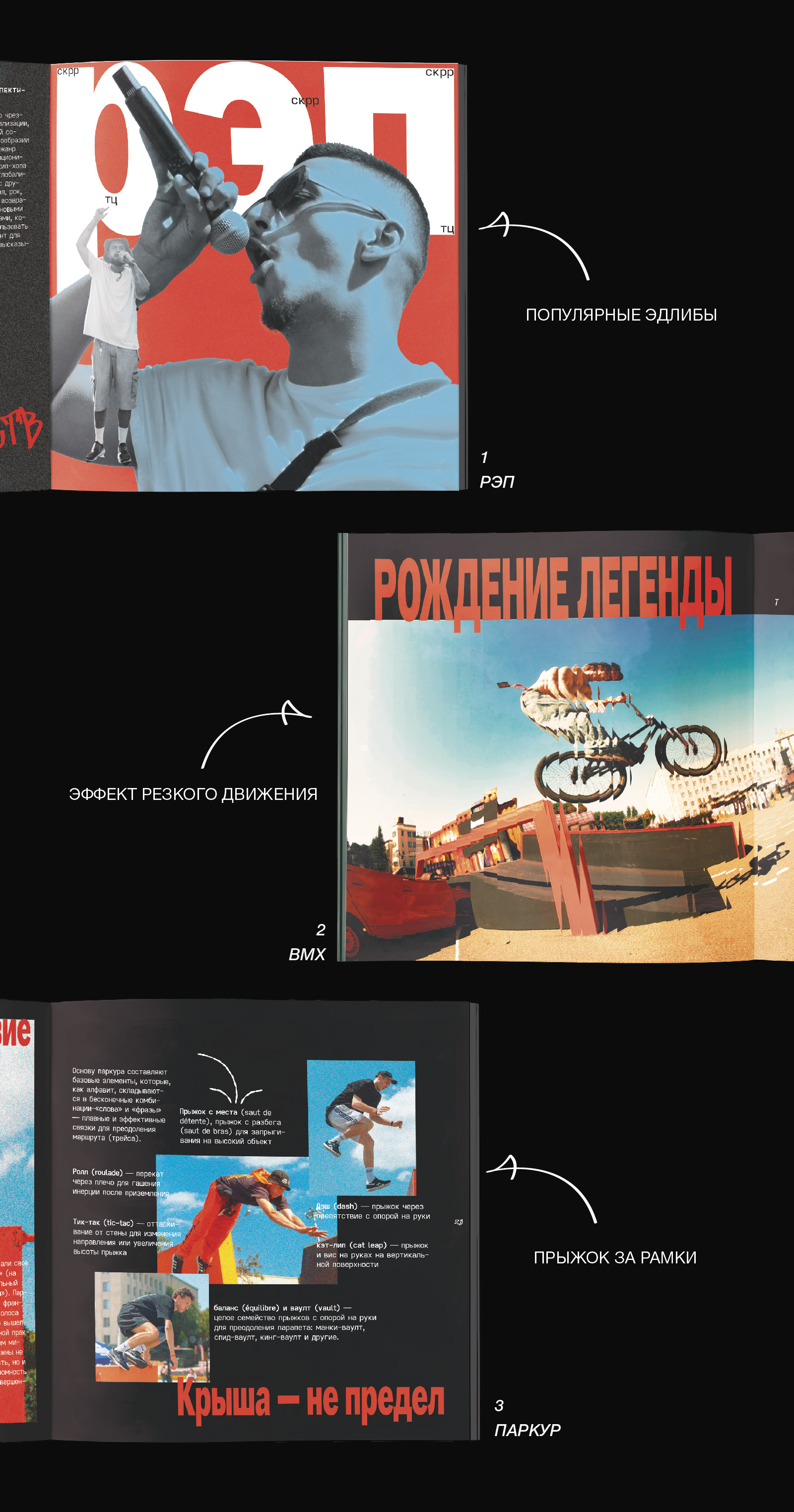 ЗИНКА | ЗИН ПРО УЛИЧНУЮ КУЛЬТУРУ — Изображение №4 — Брендинг, Графика на Dprofile