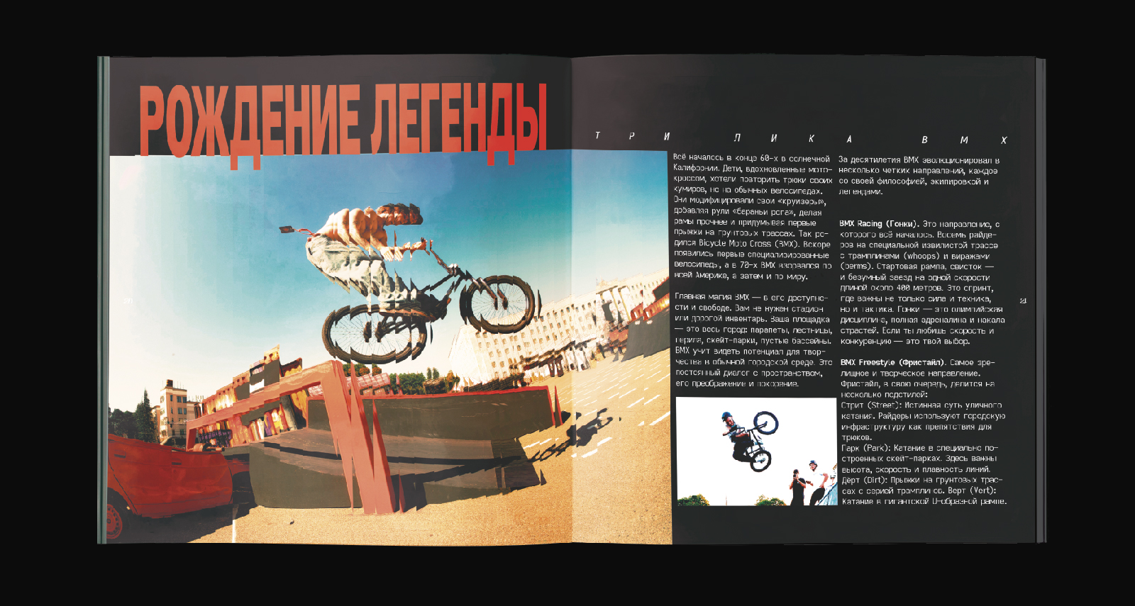 ЗИНКА | ЗИН ПРО УЛИЧНУЮ КУЛЬТУРУ — Изображение №16 — Брендинг, Графика на Dprofile