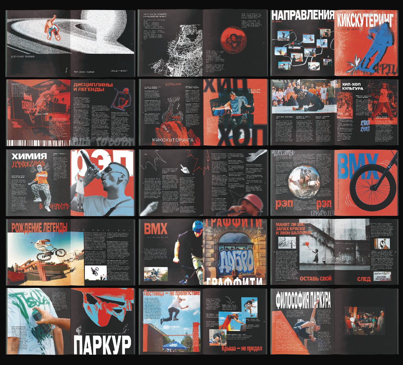 ЗИНКА | ЗИН ПРО УЛИЧНУЮ КУЛЬТУРУ — Изображение №6 — Брендинг, Графика на Dprofile