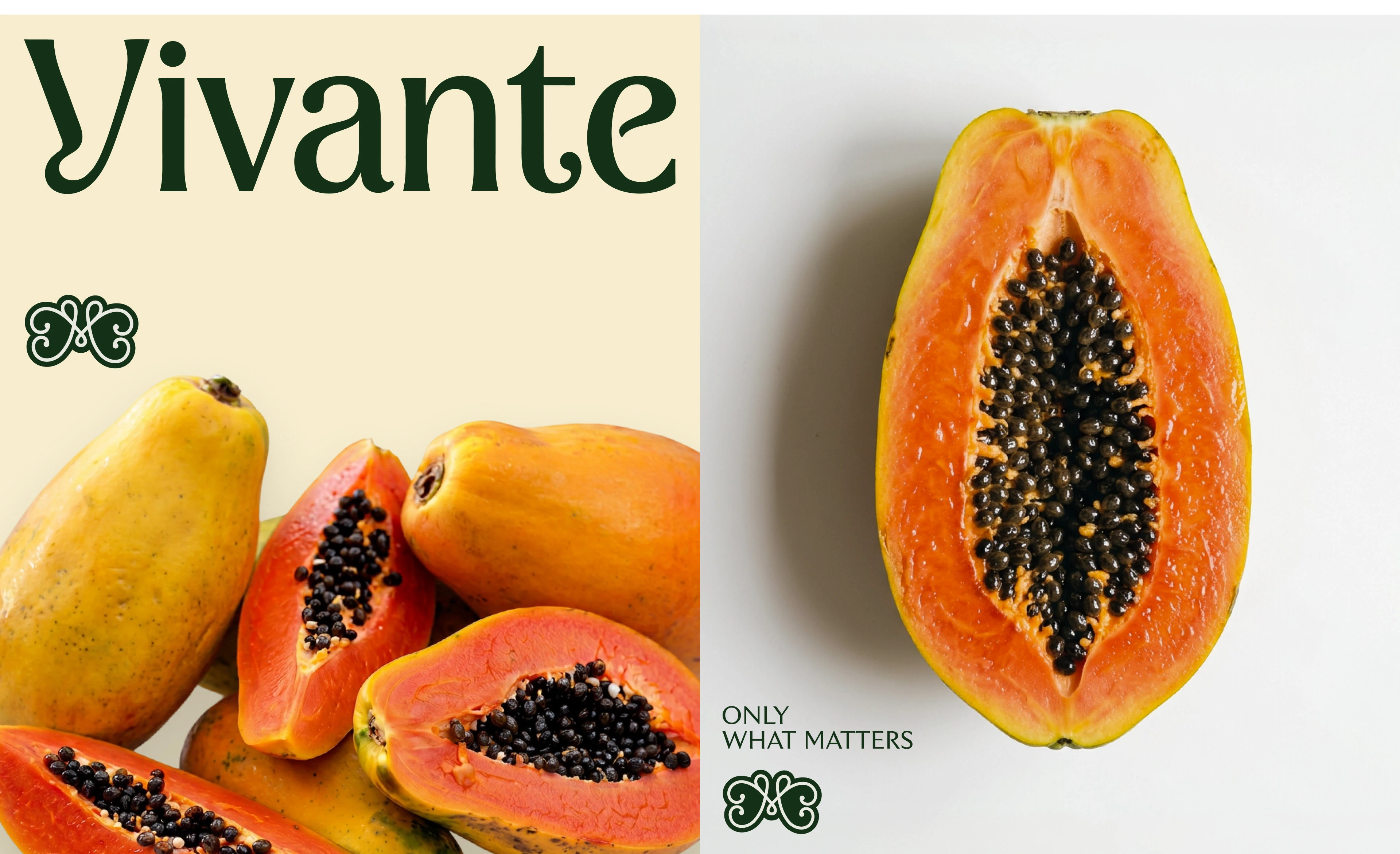 Vivante — Изображение №8 — Брендинг, Графика на Dprofile